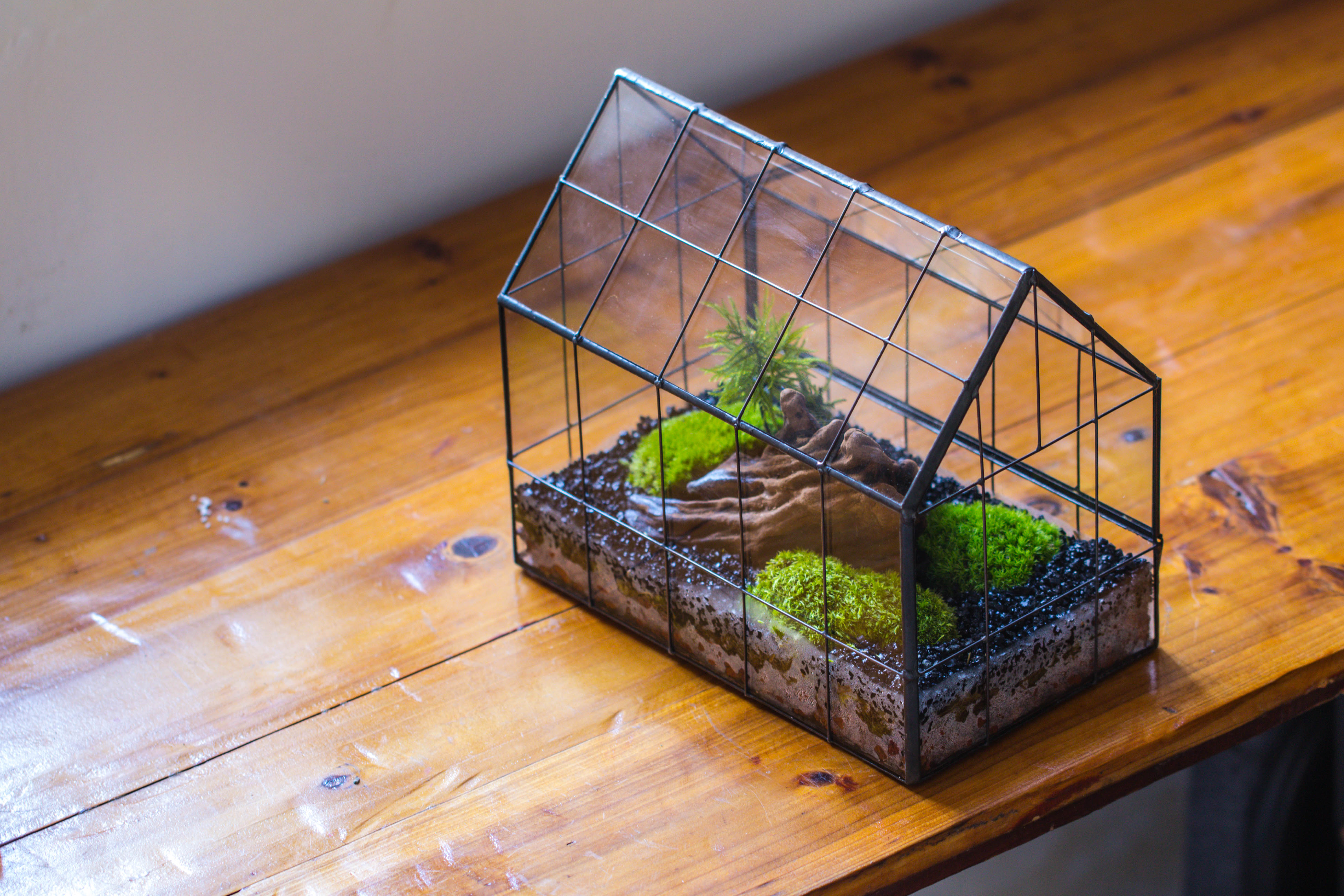 Handmade Glass Terrarium with LED Grow Light Set, Side Door Closed Geometric GreenHouse with Base and Light Set - NCYPgarden