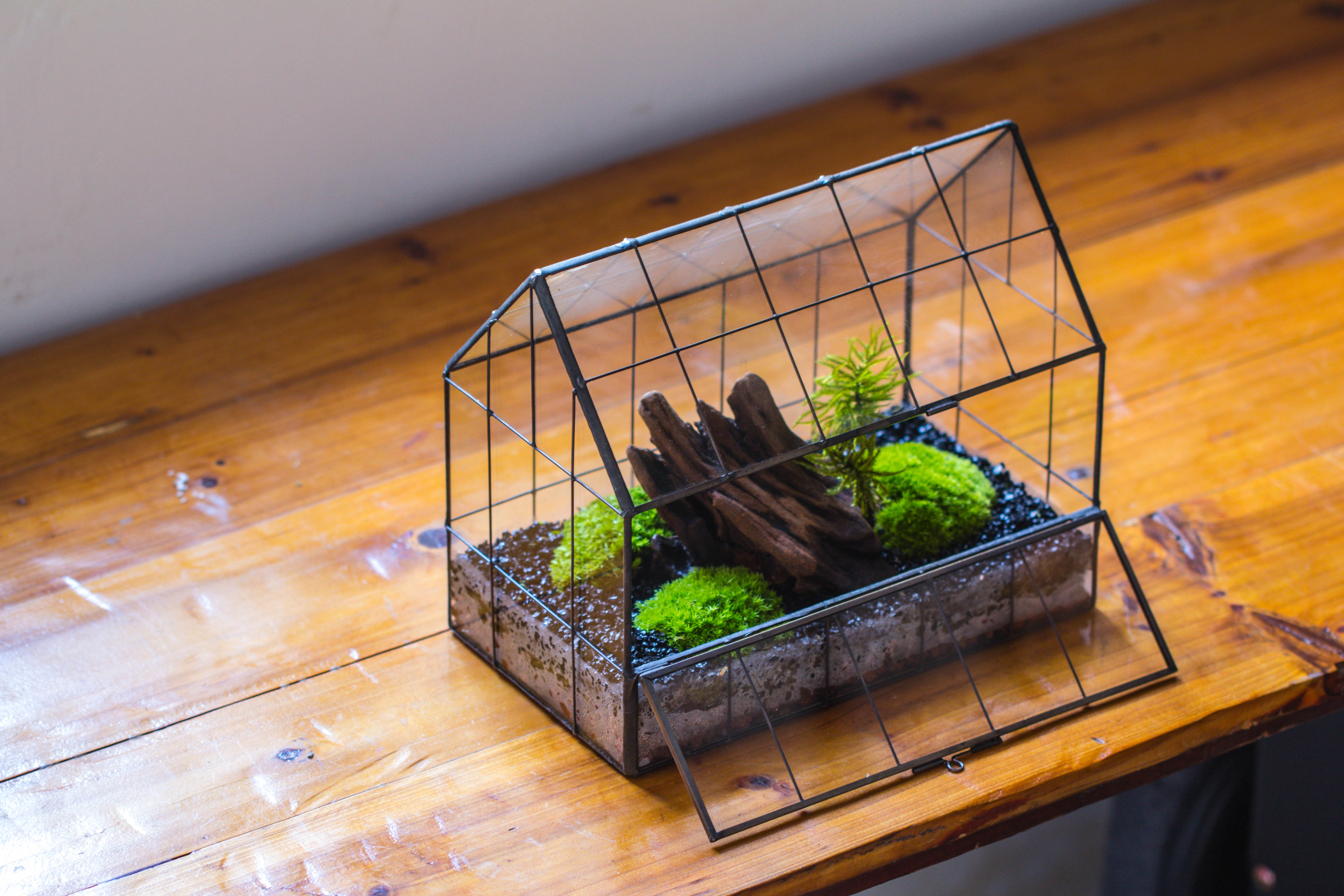 Handmade Glass Terrarium with LED Grow Light Set, Side Door Closed Geometric GreenHouse with Base and Light Set - NCYPgarden
