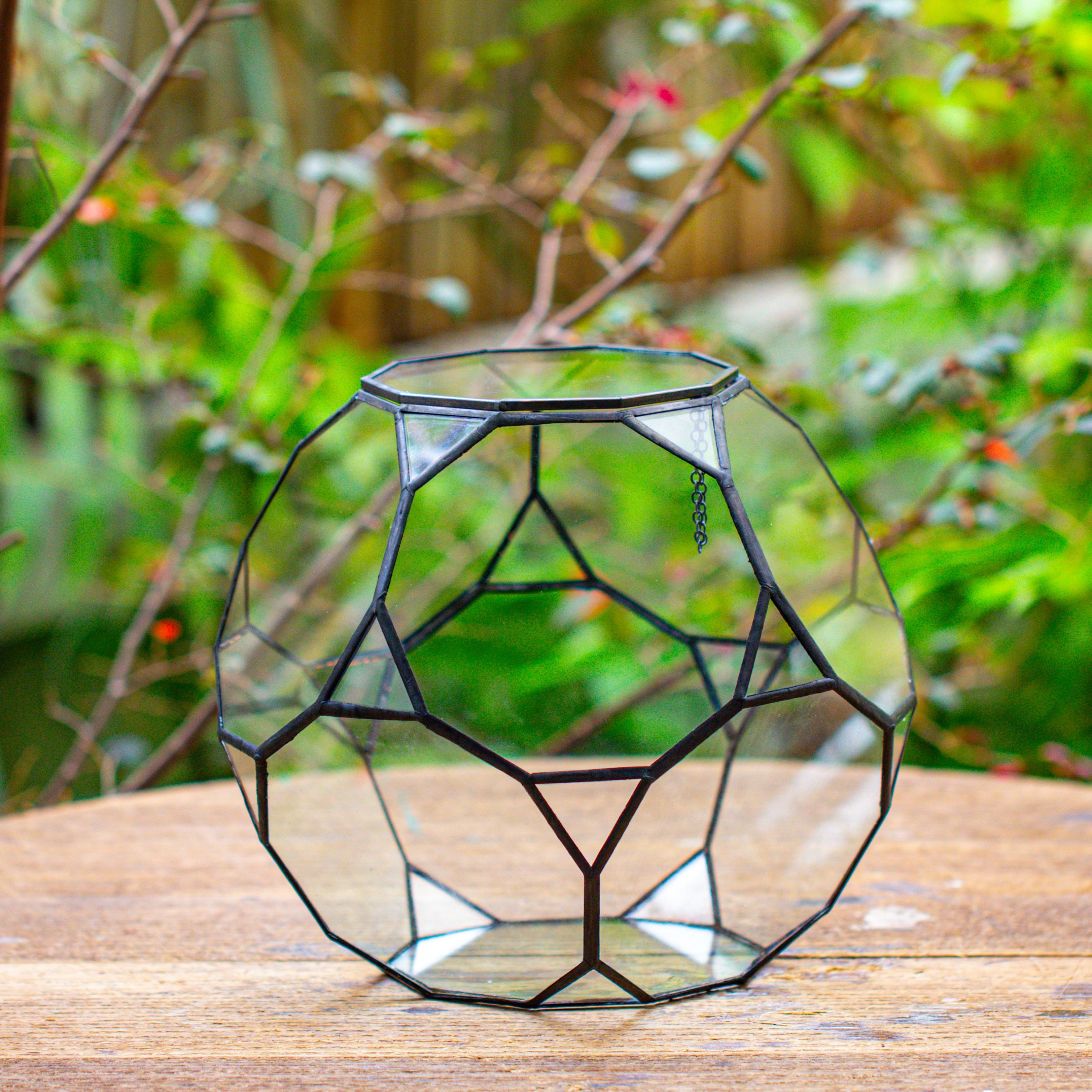 Propagation Station Glass Geometric Terrarium, 32 face , Close, with door, Truncated Dodecahedron - NCYPgarden
