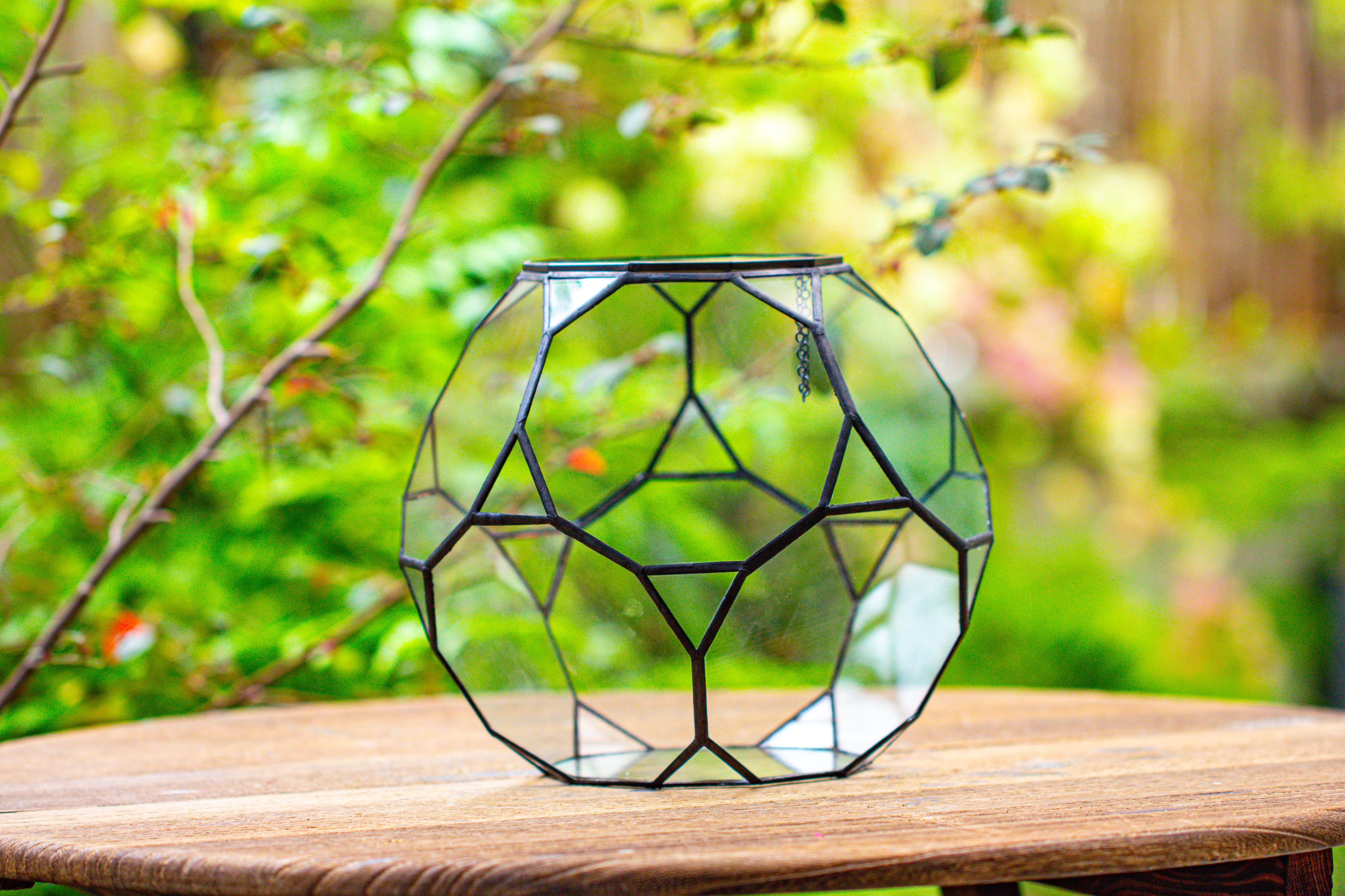 Propagation Station Glass Geometric Terrarium, 32 face , Close, with door, Truncated Dodecahedron - NCYPgarden