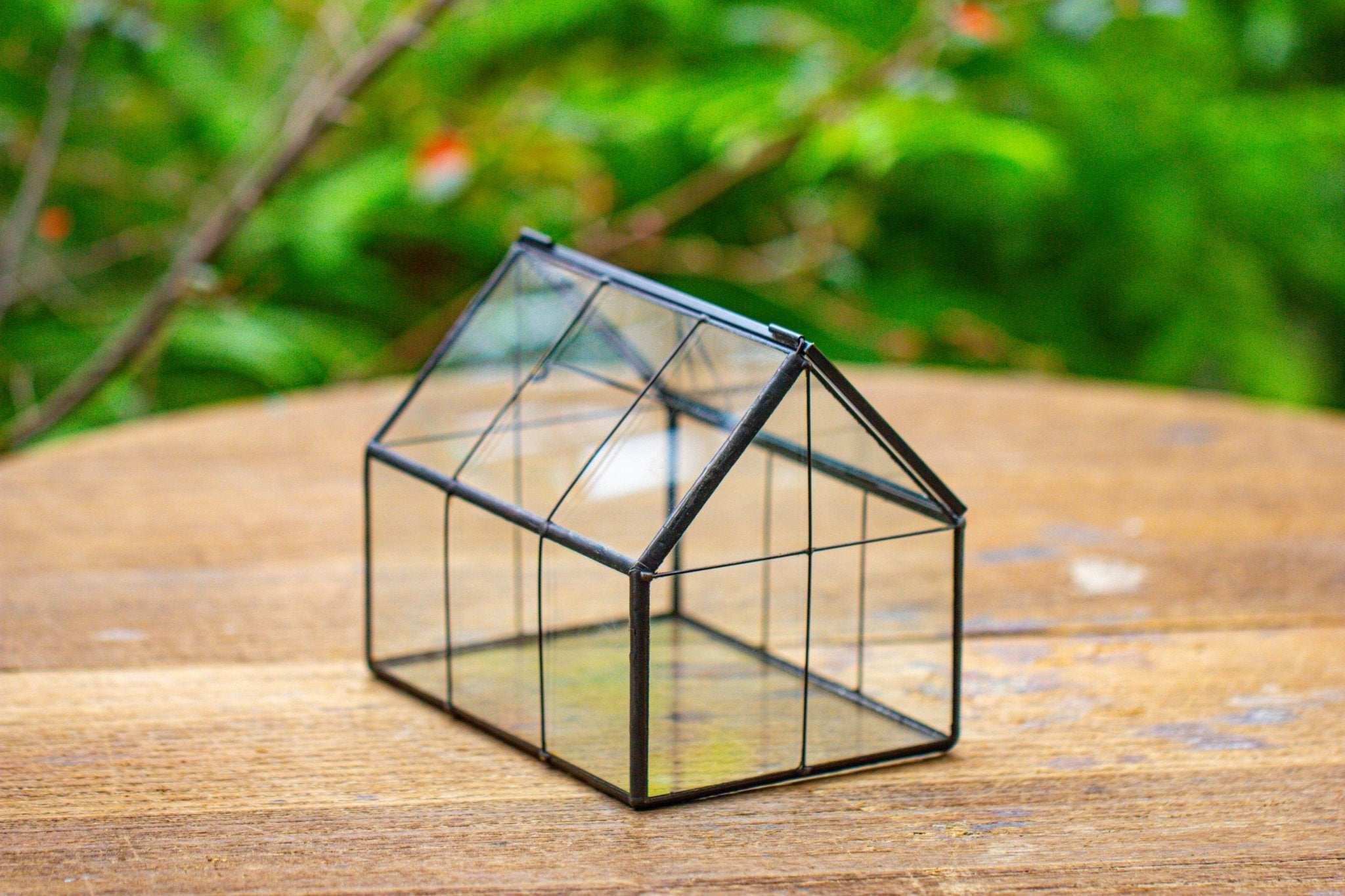 NCYP Mini Glass Terrarium with Lid House Shape Closed Planter Pot for Small Cactus, Succulents Plant PH01F2 - NCYPgarden