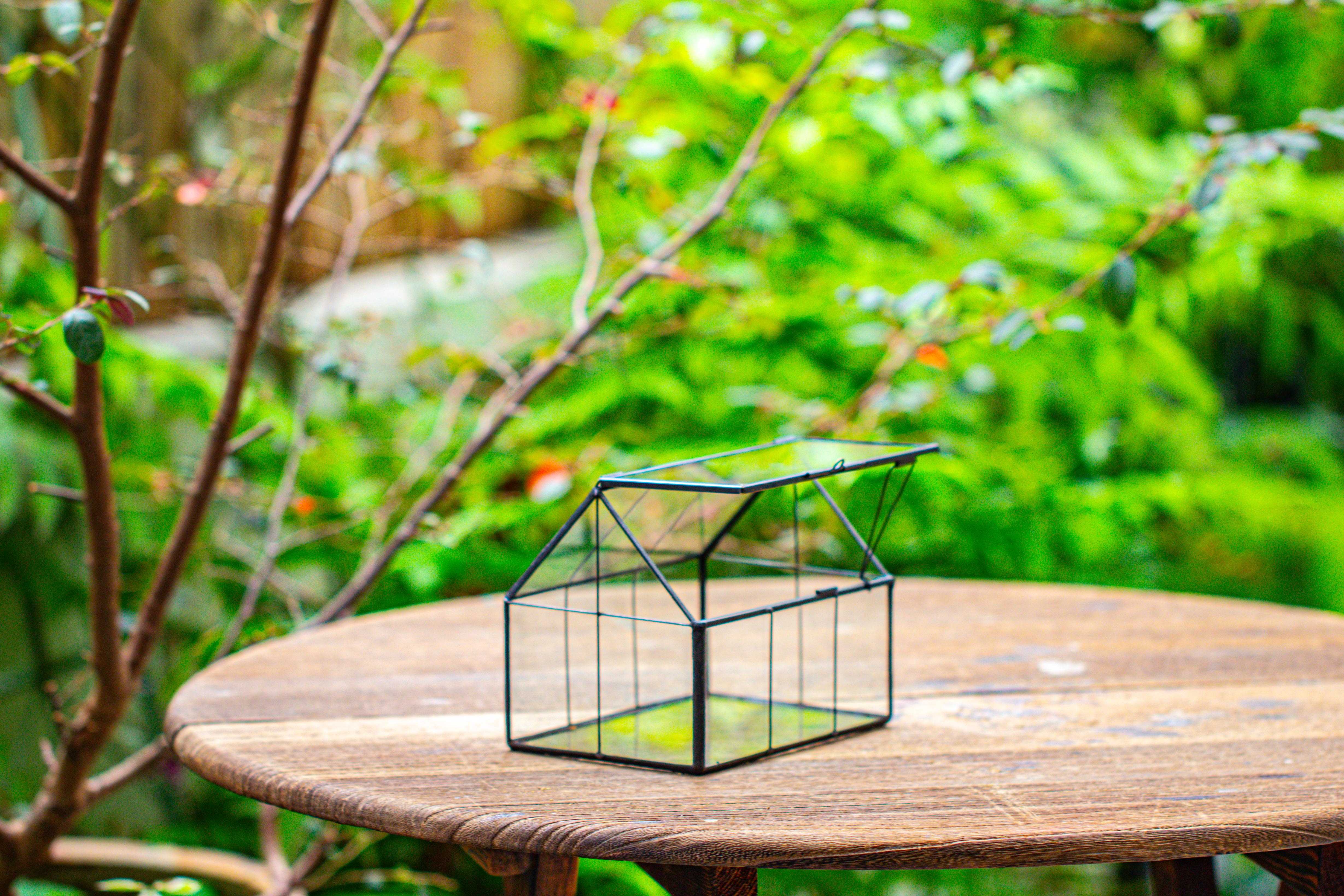 NCYP Mini Glass Terrarium with Lid House Shape Closed Planter Pot for Small Cactus, Succulents Plant - NCYPgarden