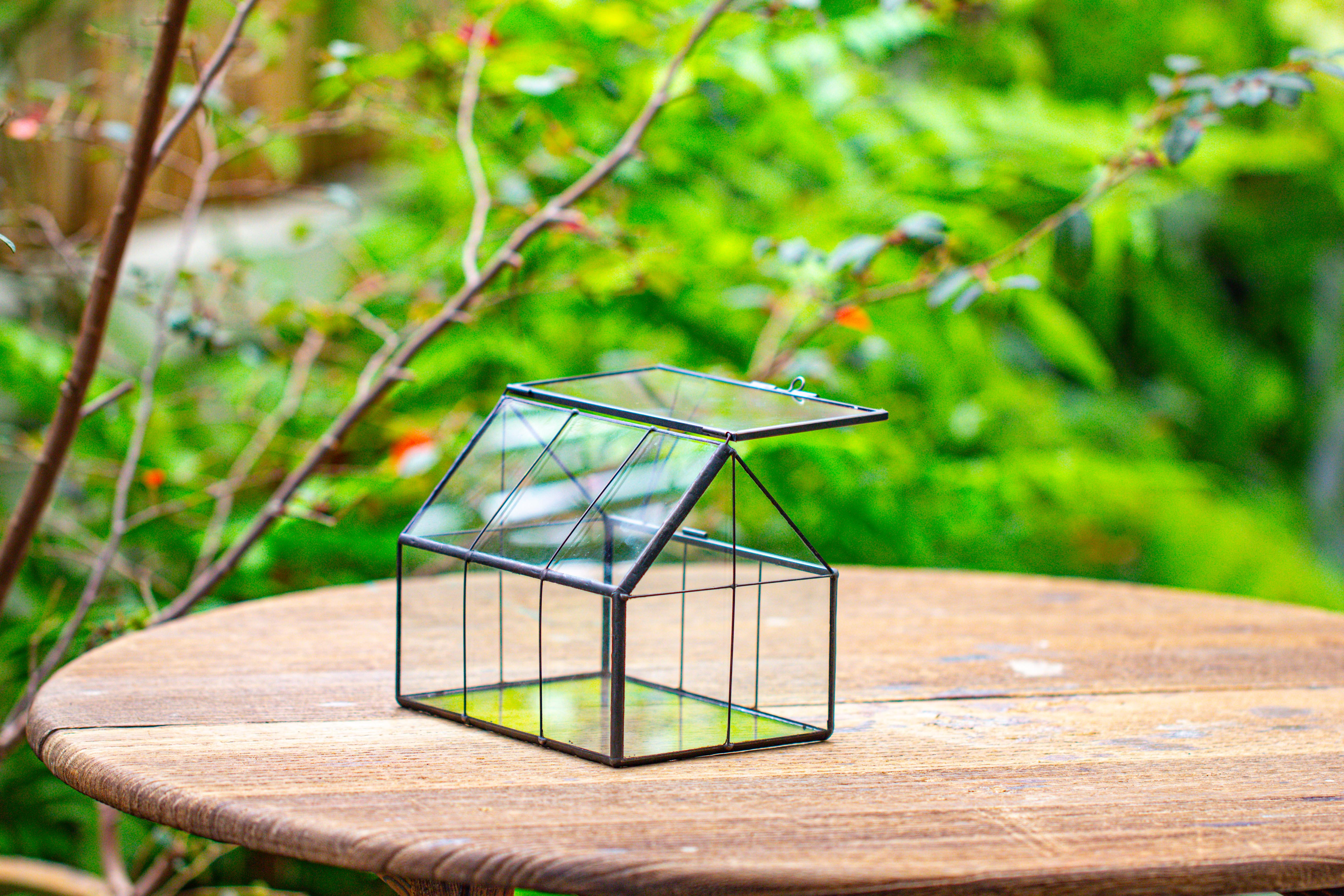 NCYP Mini Glass Terrarium with Lid House Shape Closed Planter Pot for Small Cactus, Succulents Plant - NCYPgarden
