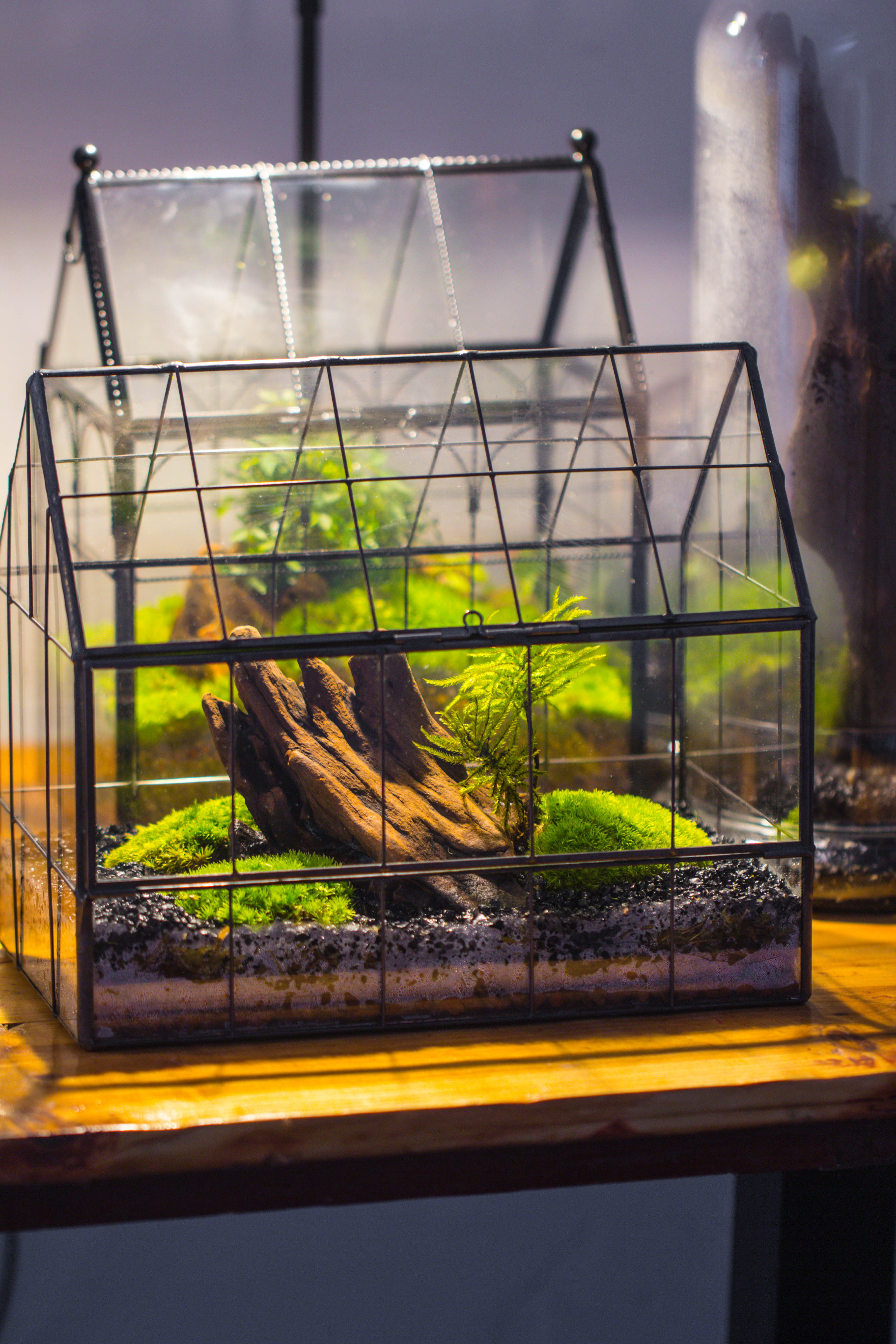 Handmade Glass Terrarium with LED Grow Light Set, Side Door Closed Geometric GreenHouse with Base and Light Set - NCYPgarden