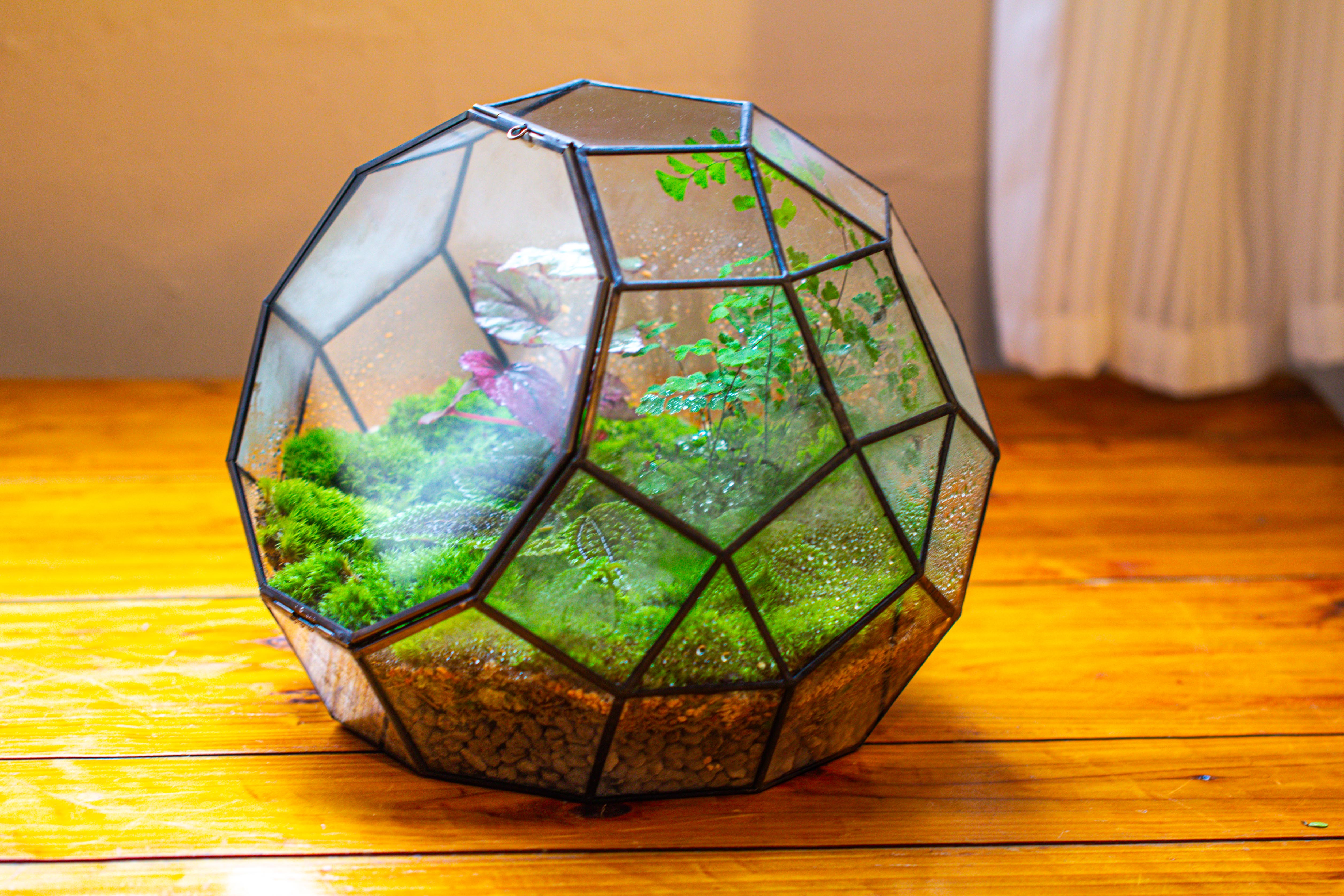 Propagation Station Glass Geometric Moon Terrarium,  Close, with door - NCYPgarden