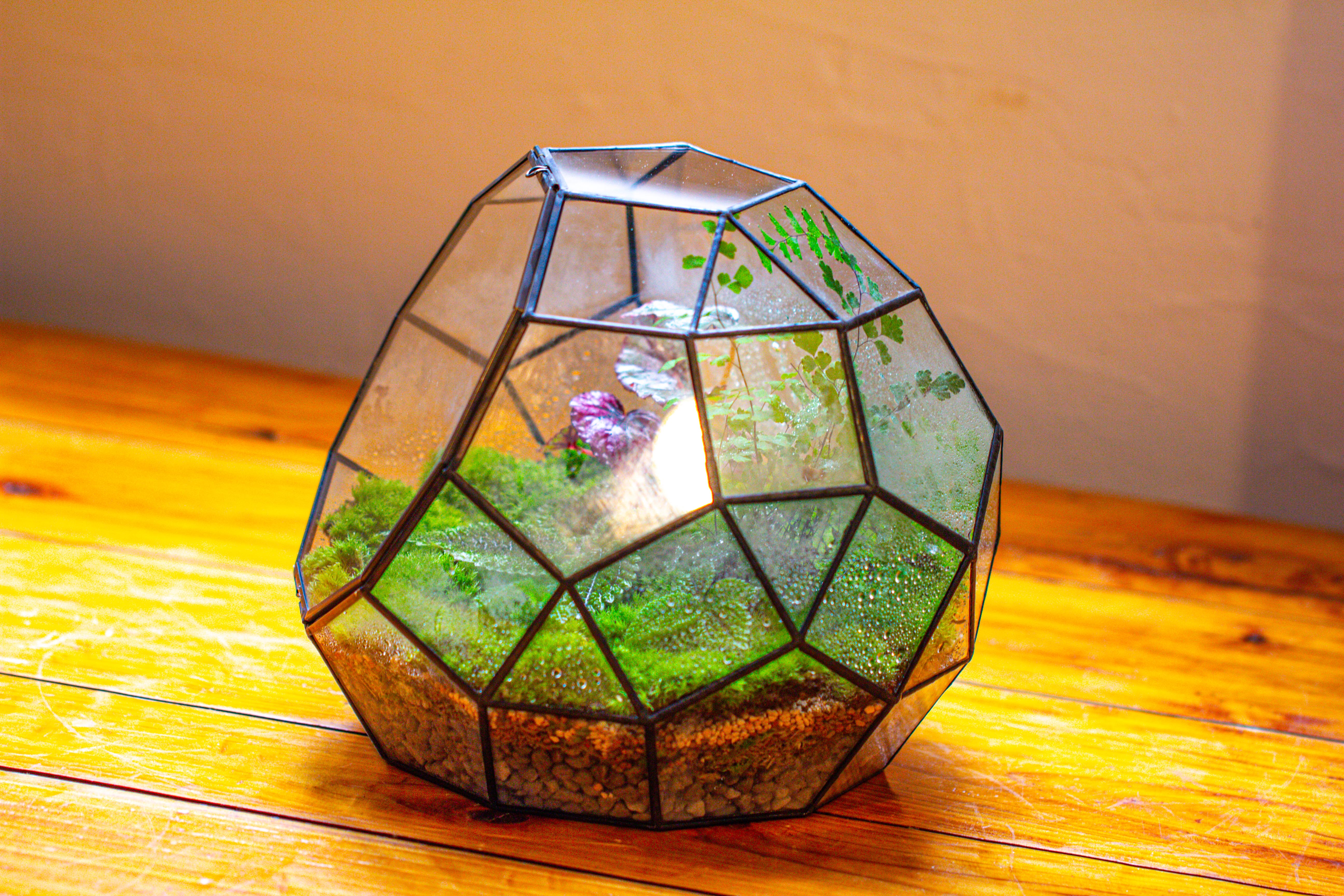 Propagation Station Glass Geometric Moon Terrarium,  Close, with door - NCYPgarden
