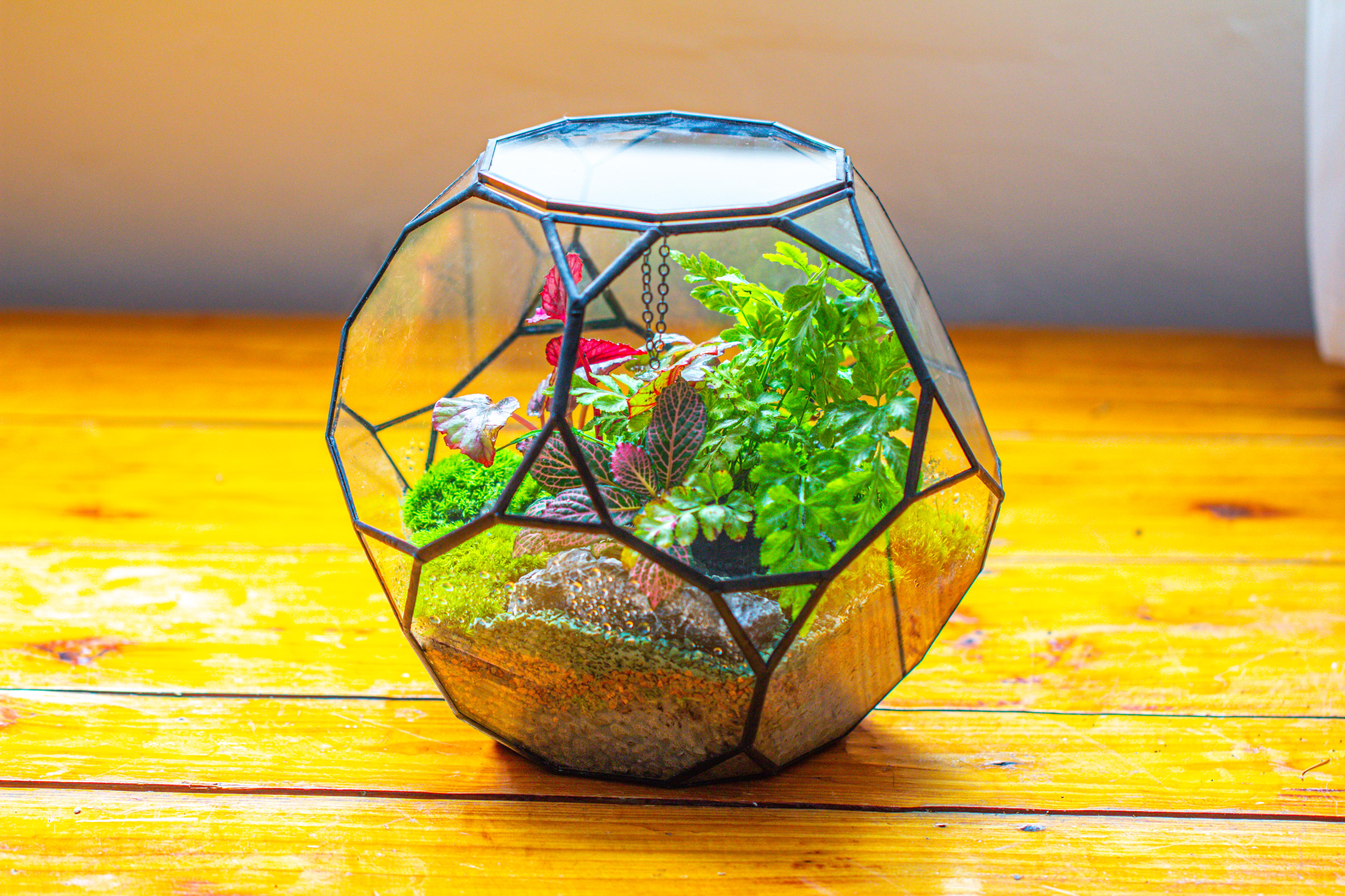 Propagation Station Glass Geometric Terrarium, 32 face , Close, with door, Truncated Dodecahedron - NCYPgarden