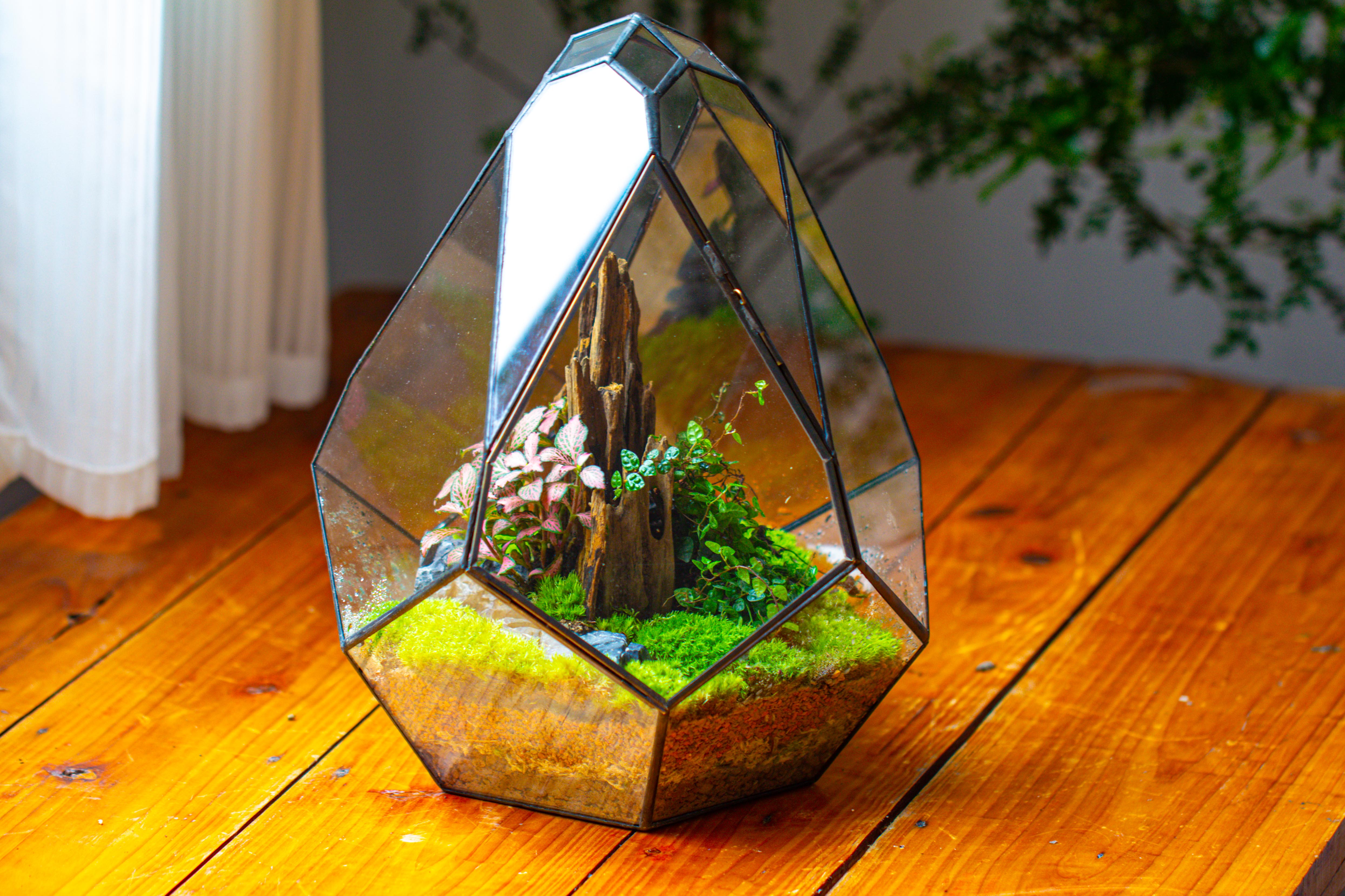Propagation Station 13" Large Teardrop Geometric Terrarium, Close, with door - NCYPgarden