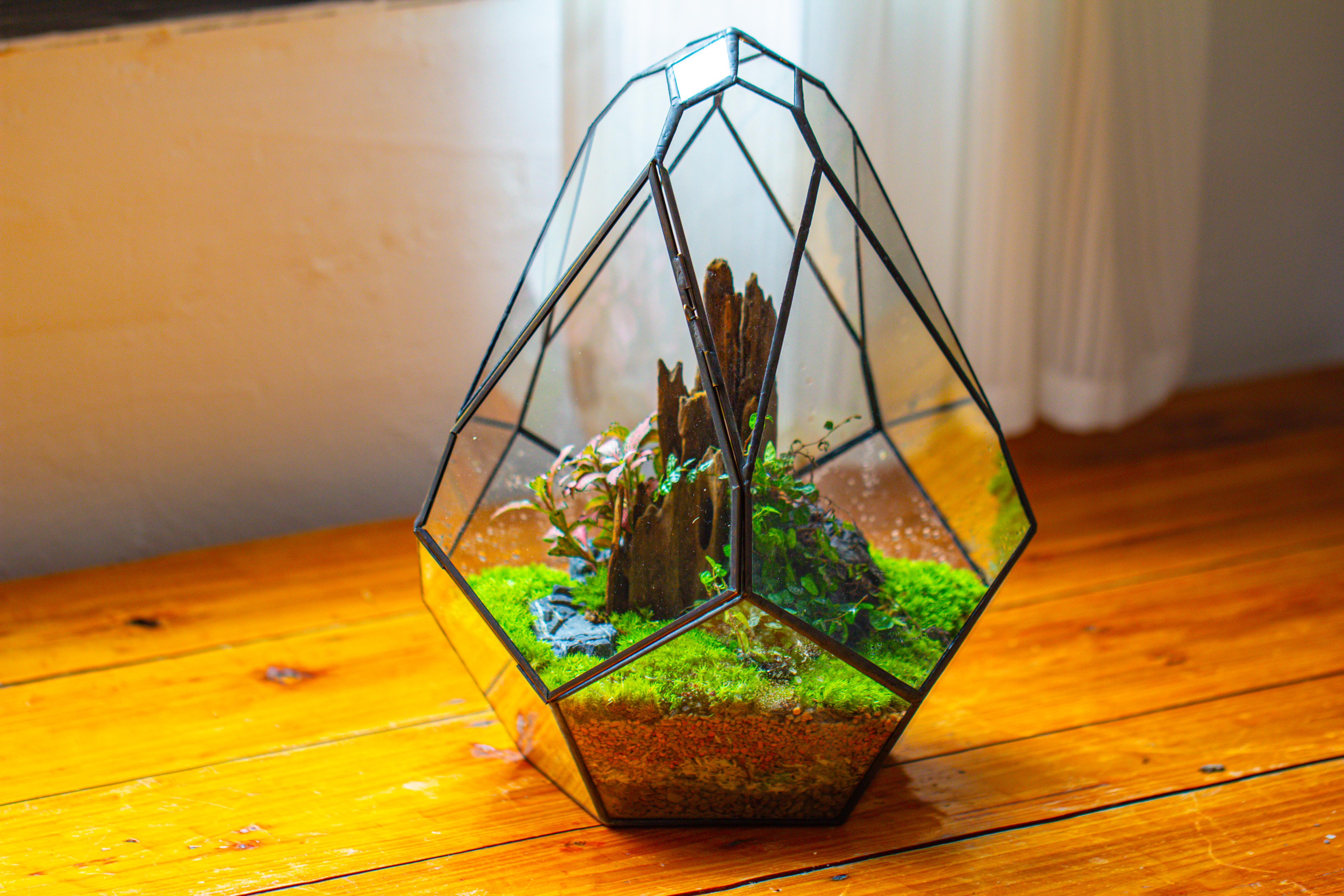 Propagation Station 13" Large Teardrop Geometric Terrarium, Close, with door - NCYPgarden