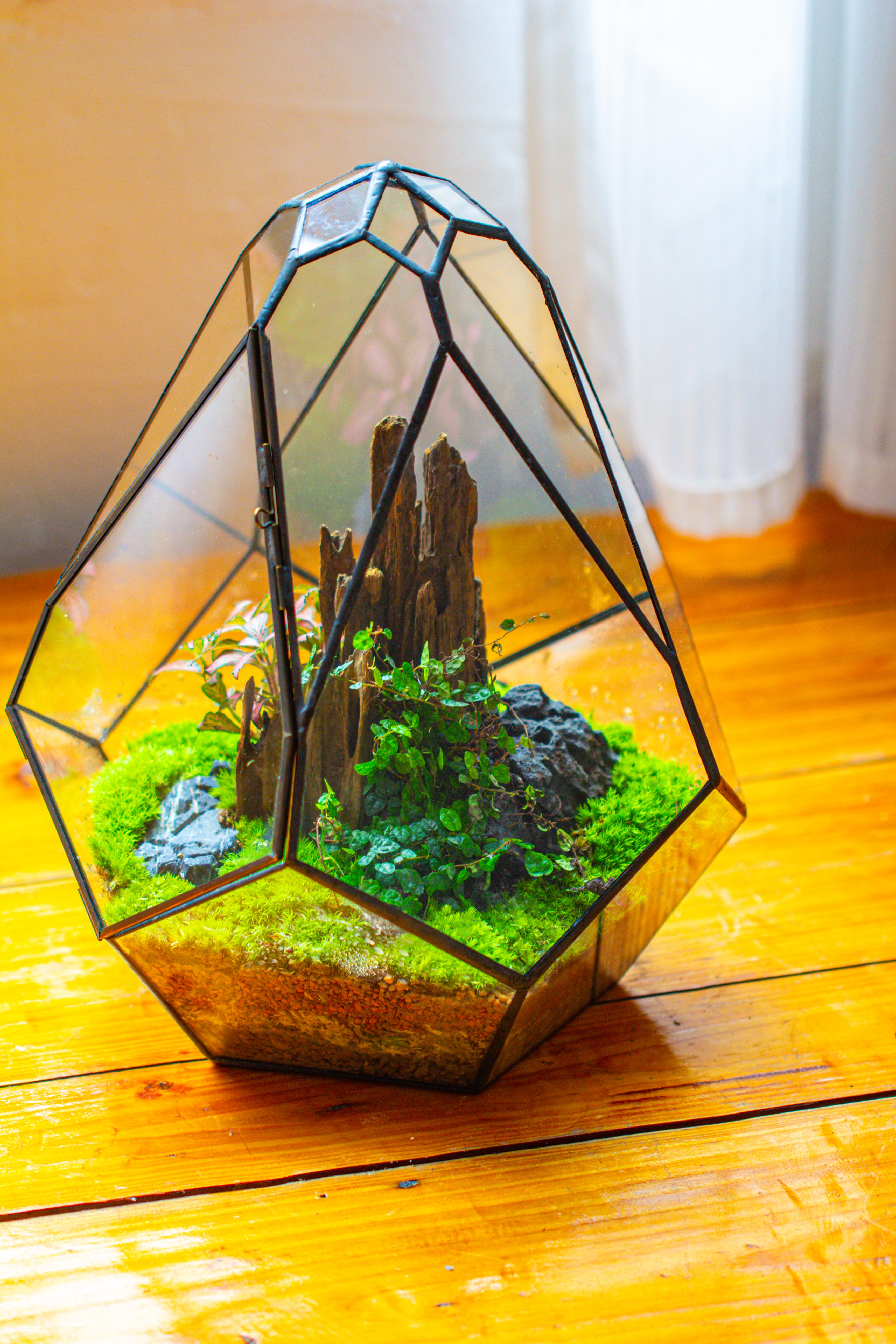Propagation Station 13" Large Teardrop Geometric Terrarium, Close, with door - NCYPgarden