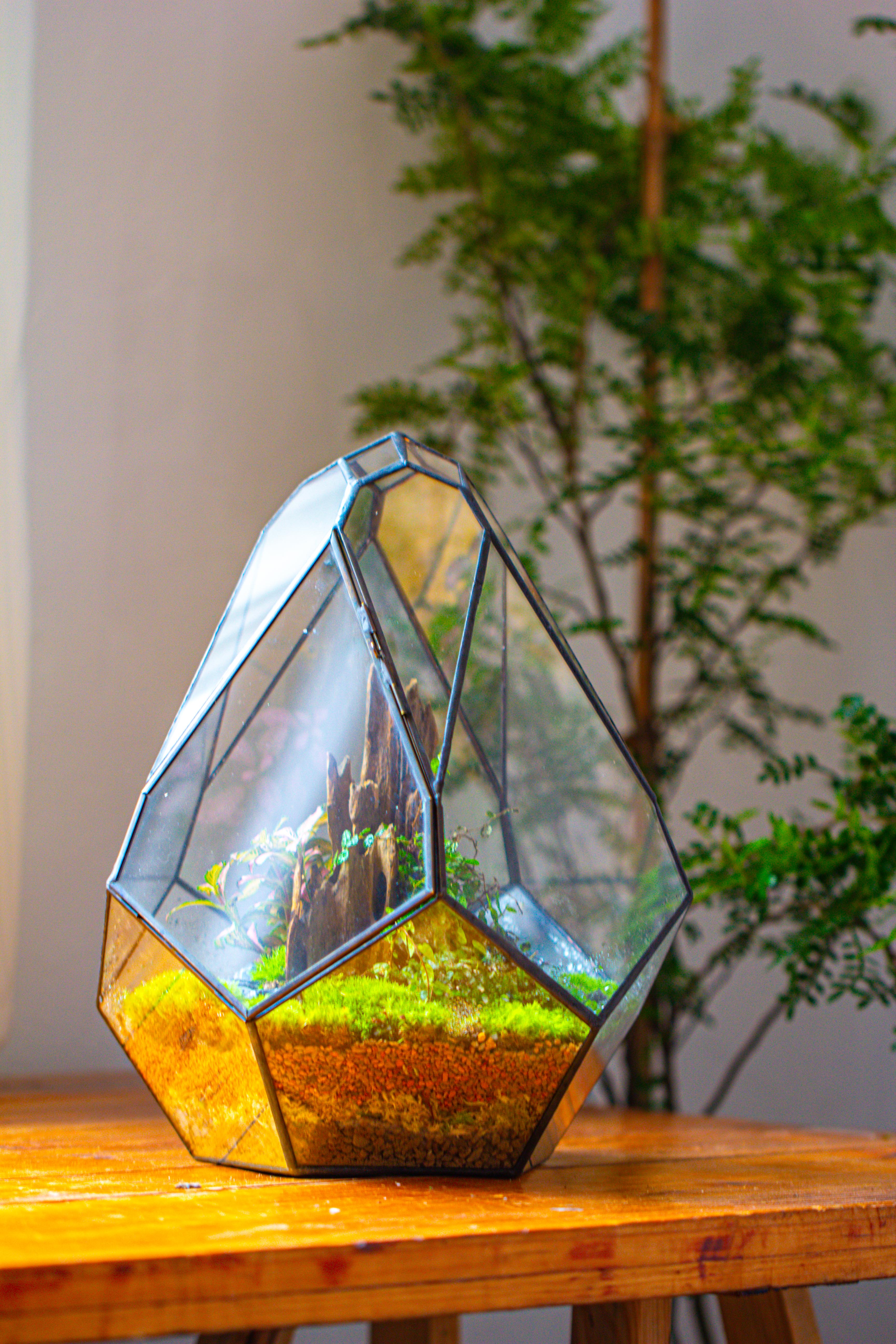 Propagation Station 13" Large Teardrop Geometric Terrarium, Close, with door - NCYPgarden