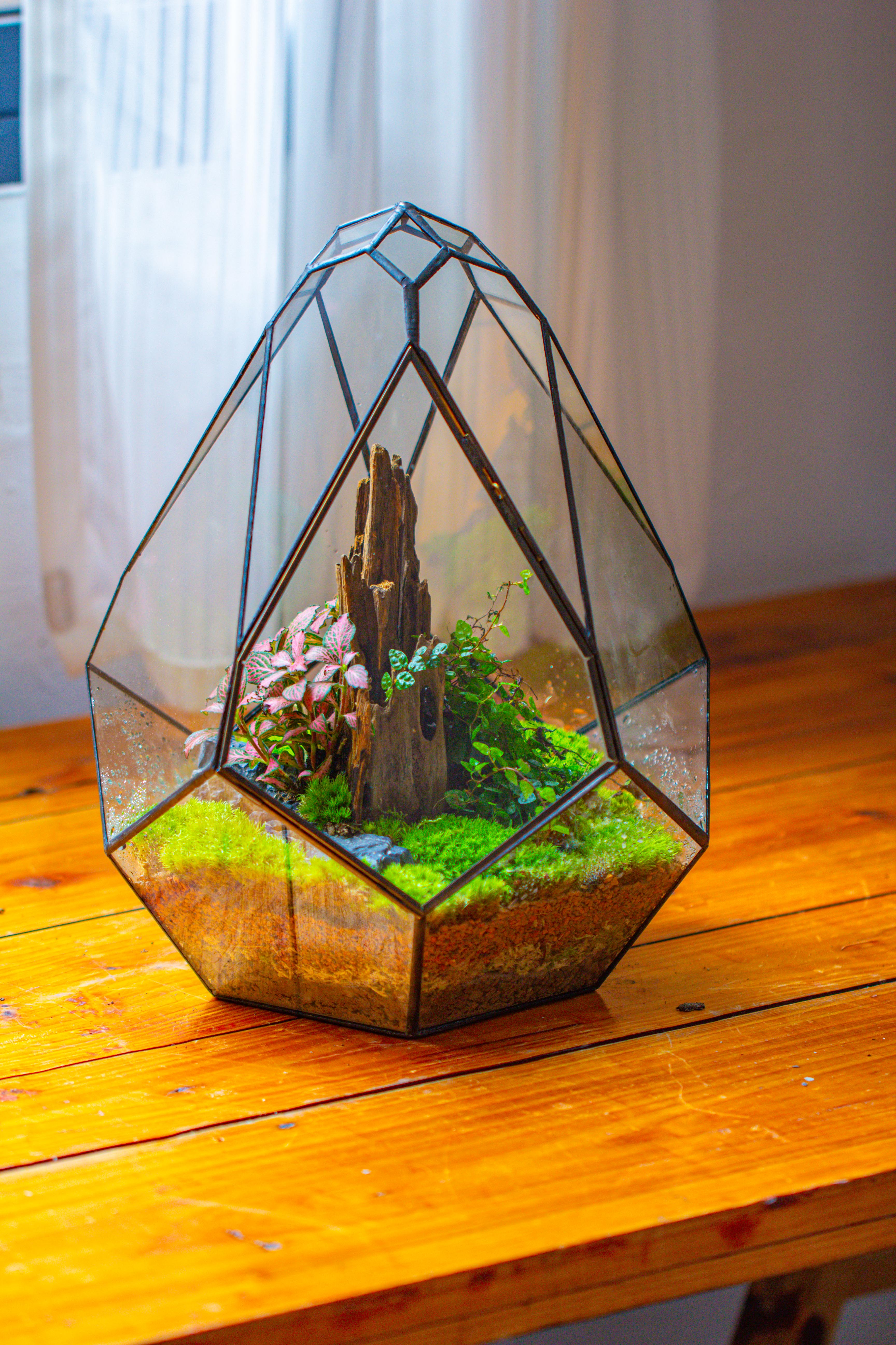 Propagation Station 13" Large Teardrop Geometric Terrarium, Close, with door - NCYPgarden
