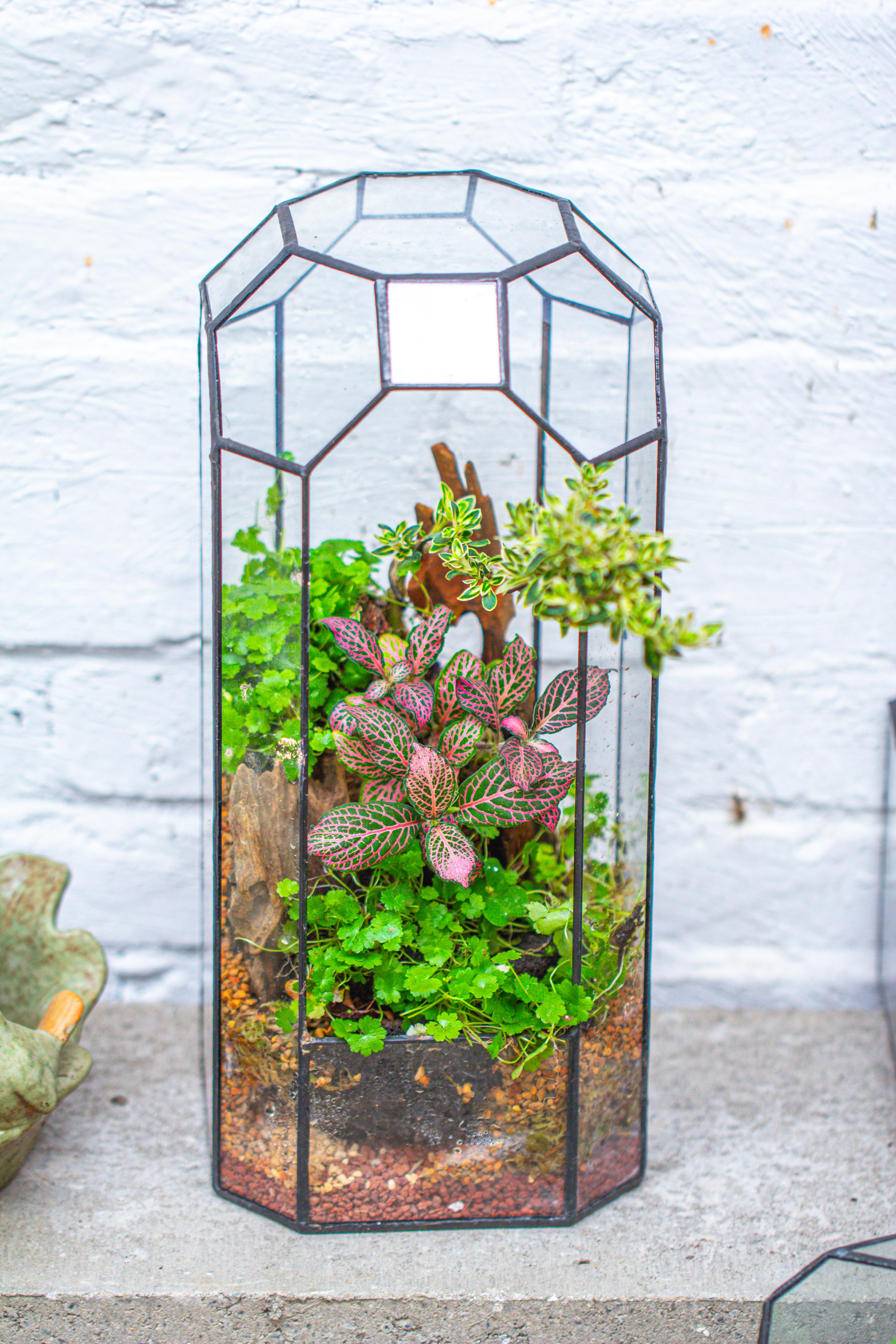 Vintage Tall Octagon Geometric Tin Glass Terrarium , 12.6" , open, suitable for tall plants, orchid, small begonia Pitcher, Micro landscape - NCYPgarden
