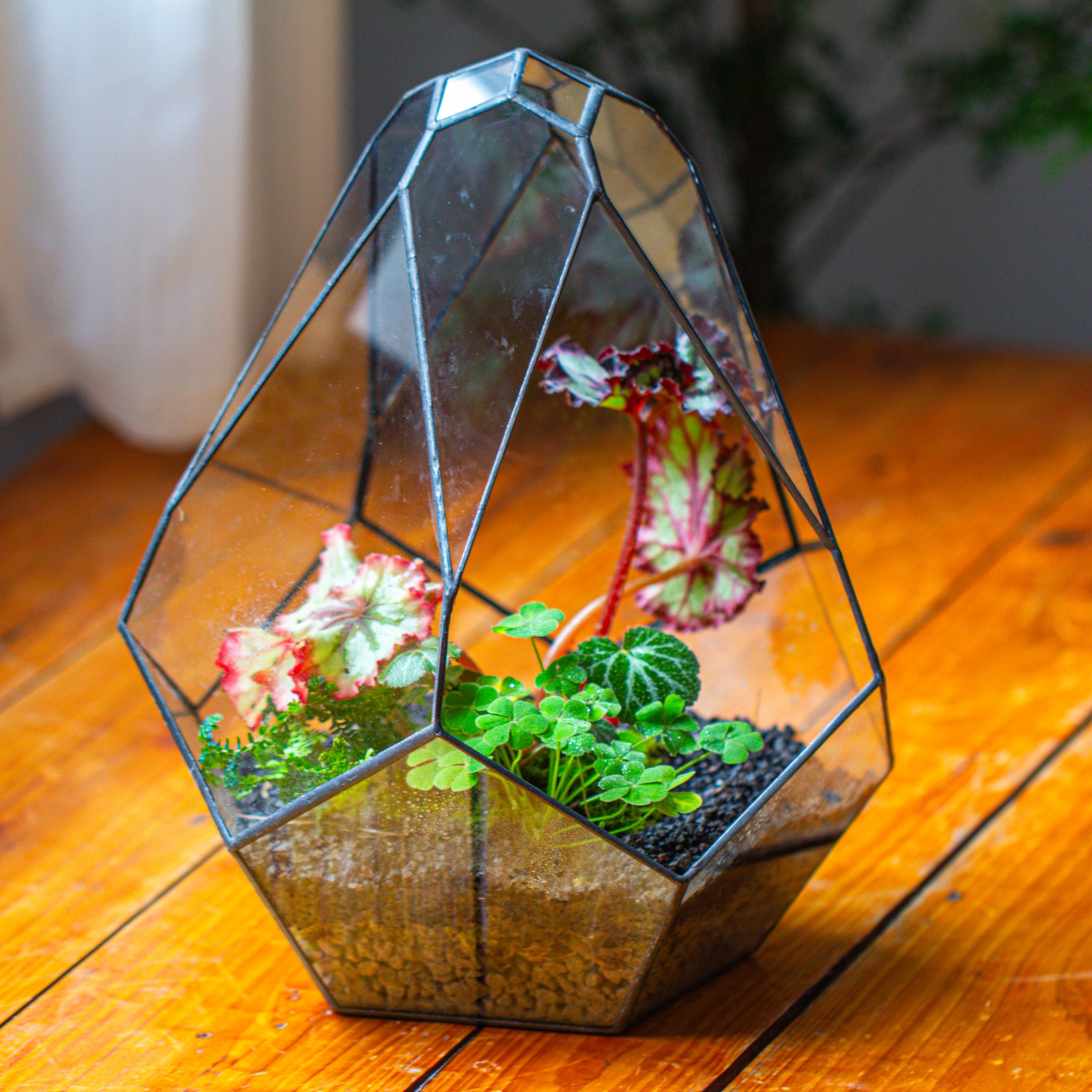 13" Large Teardrop Geometric Terrarium, Open - NCYPgarden