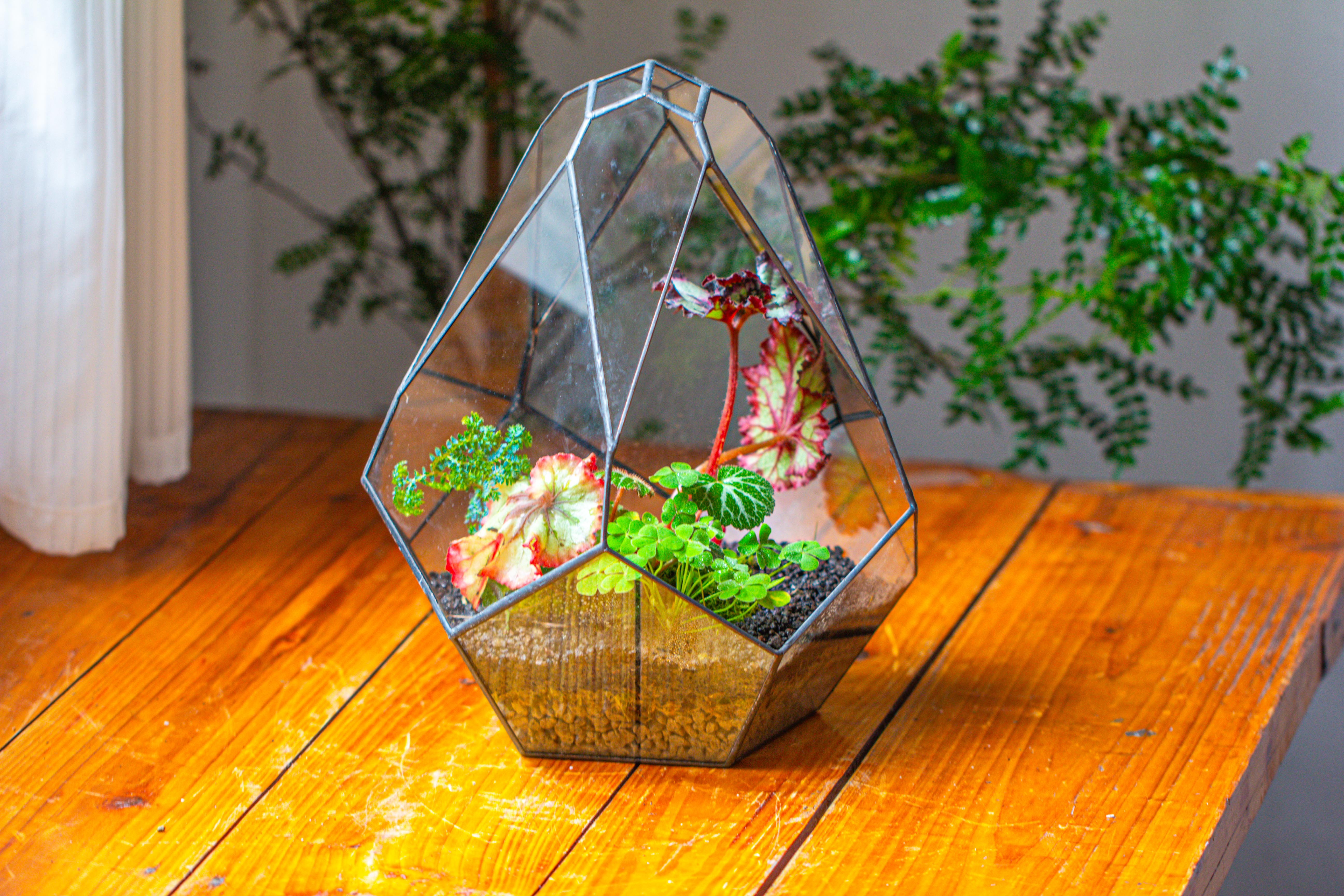 13" Large Teardrop Geometric Terrarium, Open - NCYPgarden