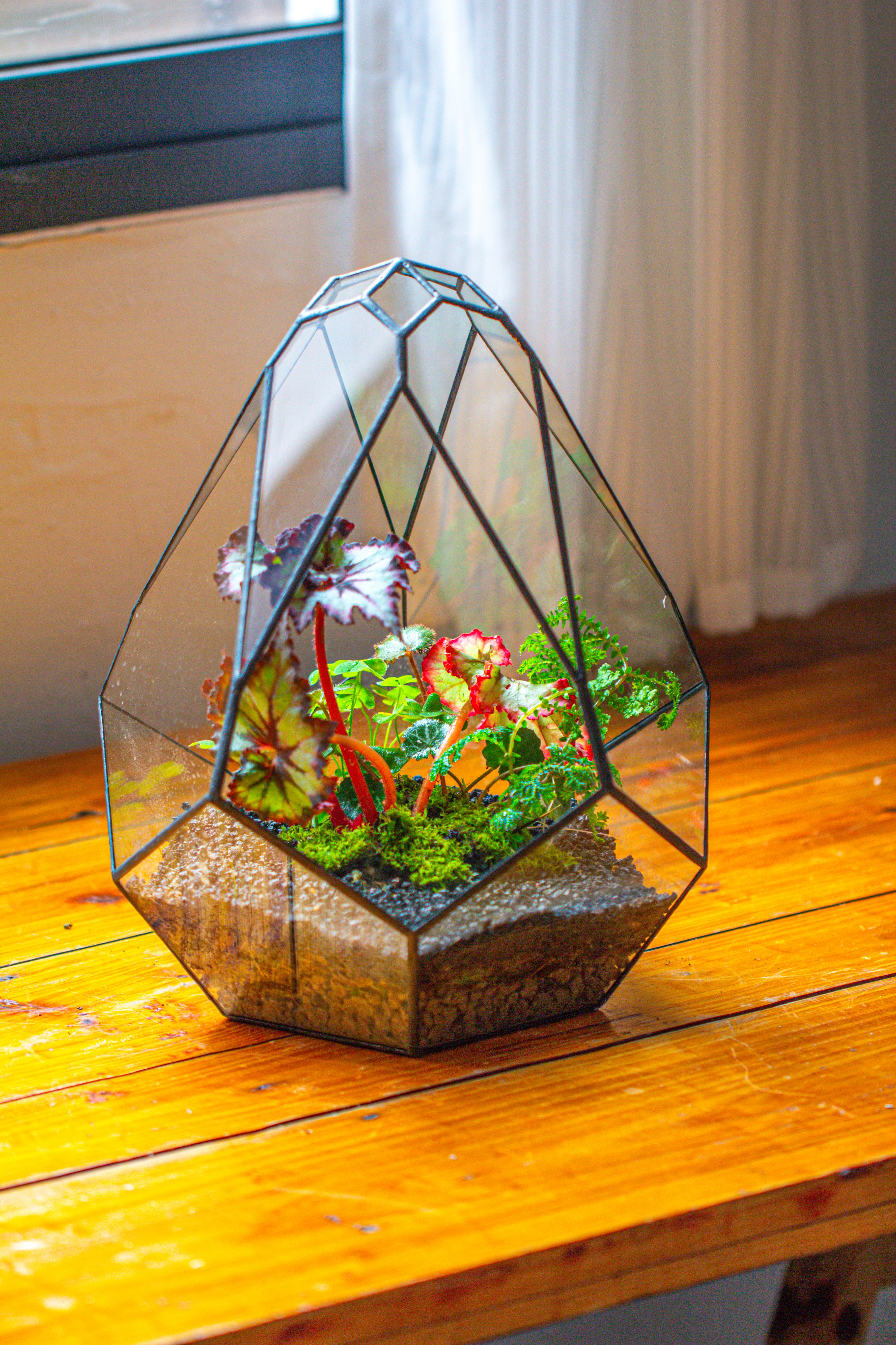13" Large Teardrop Geometric Terrarium, Open - NCYPgarden