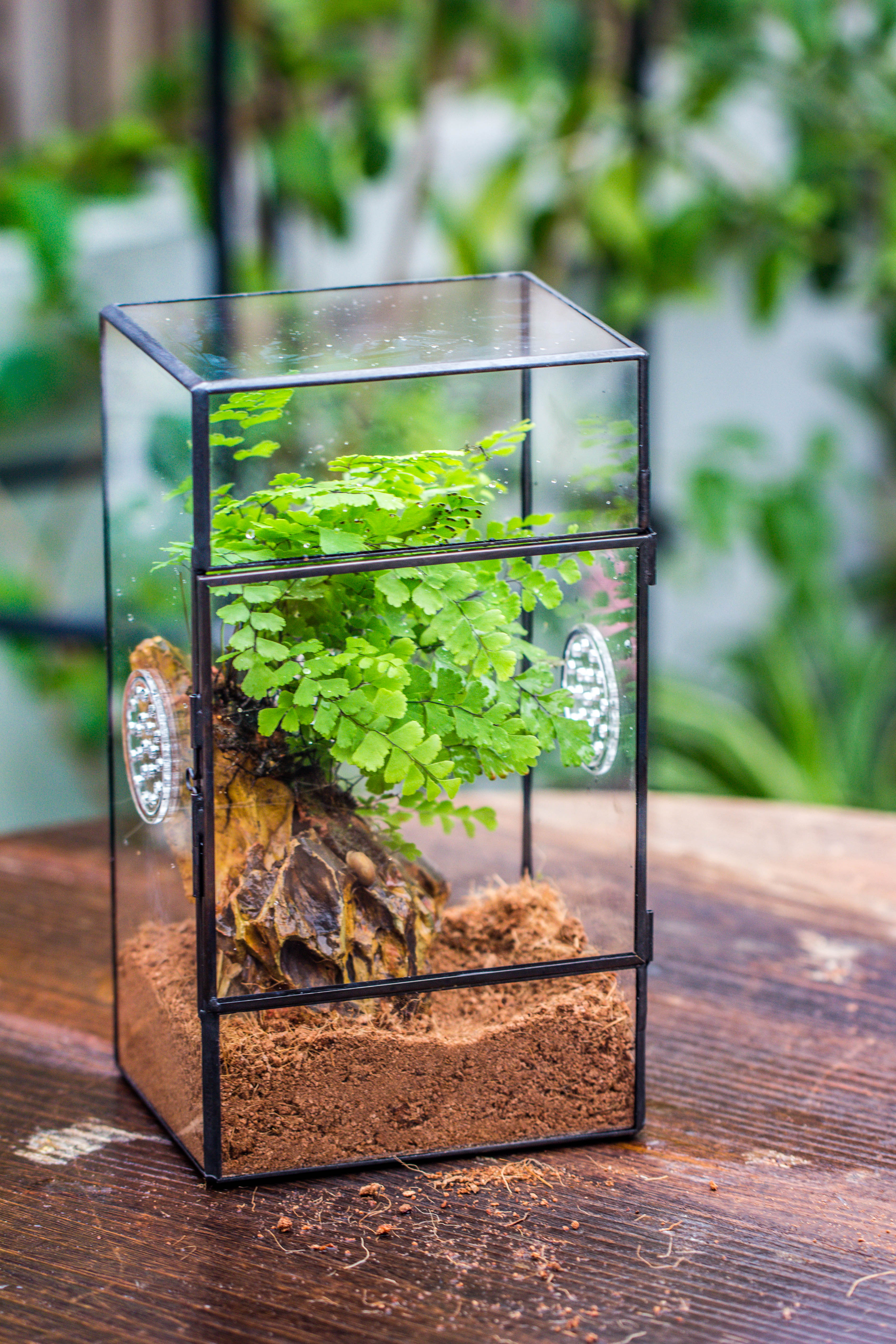 NCYP Rectangle Tin and Glass Geometric Terrarium,  with side door,  with Mesh  / vent holes for small Insects Pet - NCYPgarden