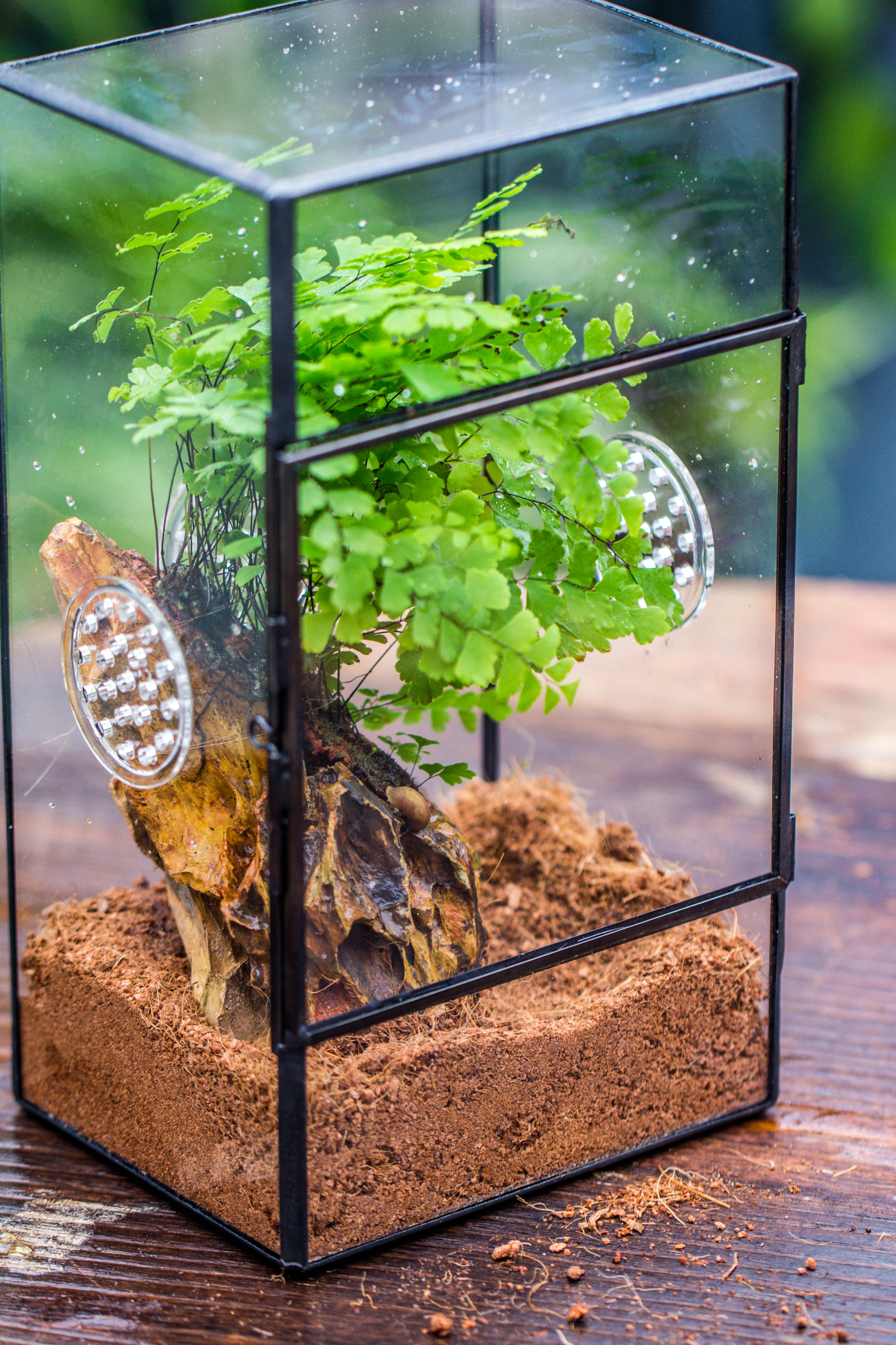 NCYP Rectangle Tin and Glass Geometric Terrarium,  with side door,  with Mesh  / vent holes for small Insects Pet - NCYPgarden