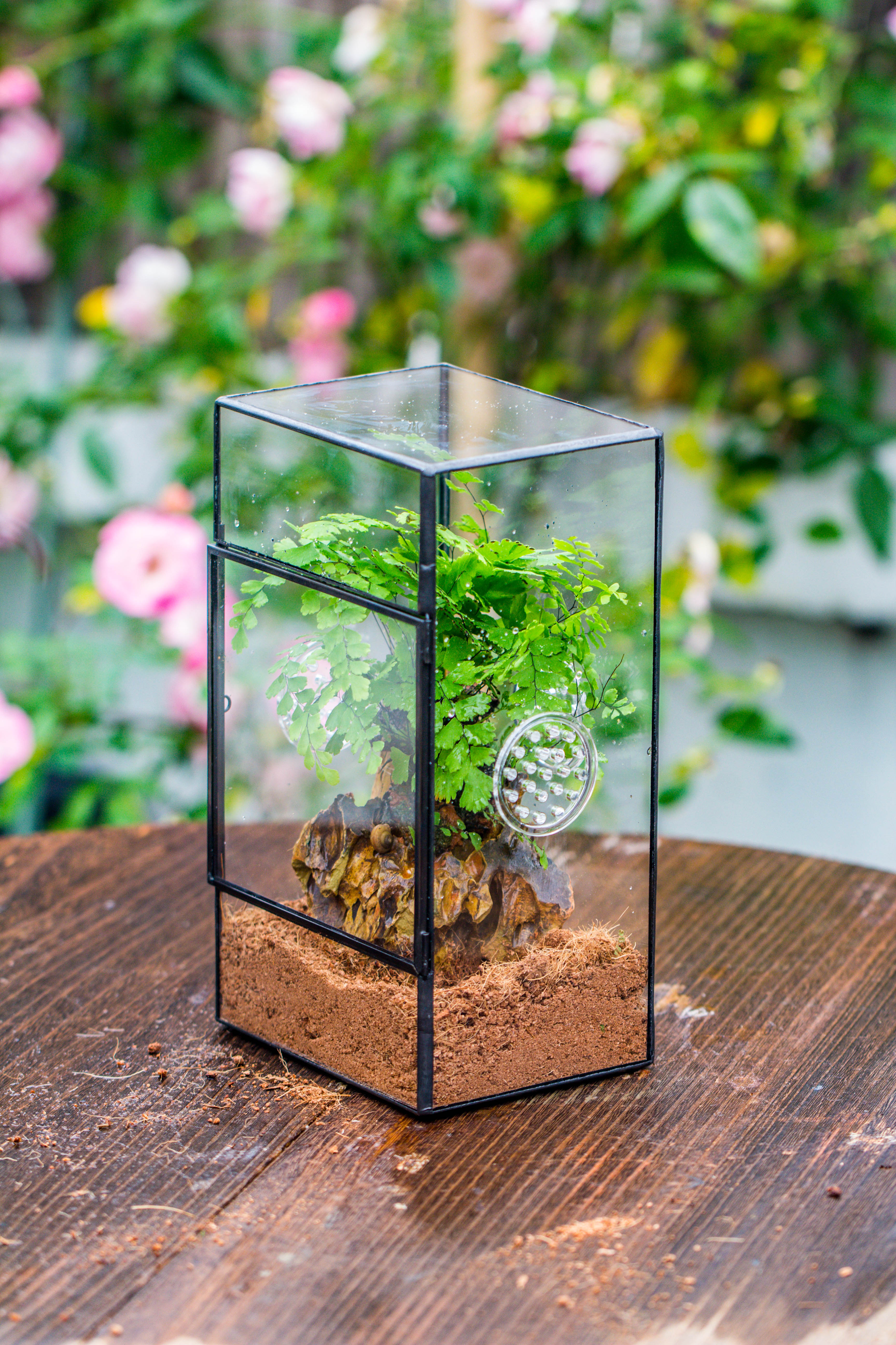NCYP Rectangle Tin and Glass Geometric Terrarium,  with side door,  with Mesh  / vent holes for small Insects Pet - NCYPgarden