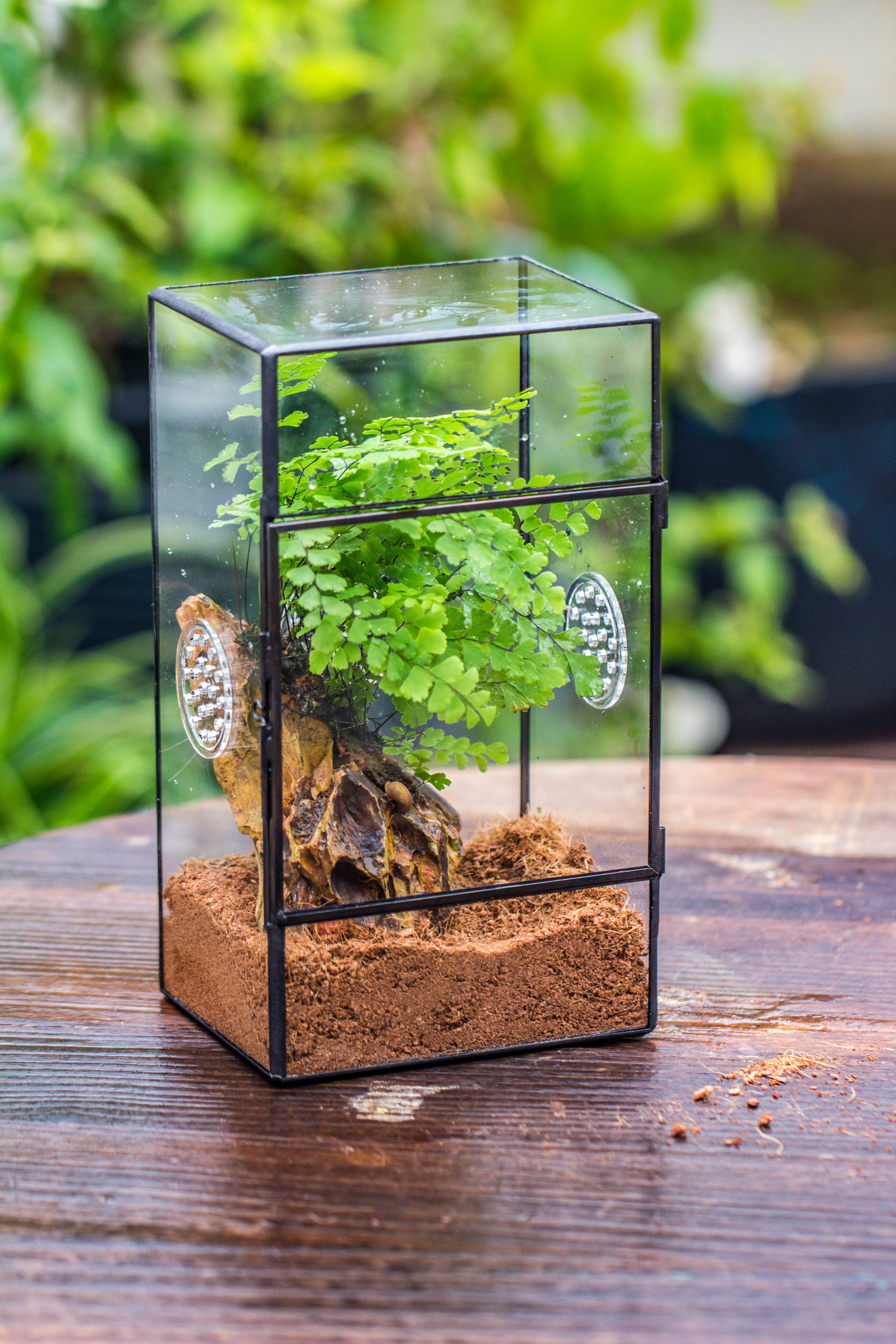 NCYP Rectangle Tin and Glass Geometric Terrarium,  with side door,  with Mesh  / vent holes for small Insects Pet - NCYPgarden