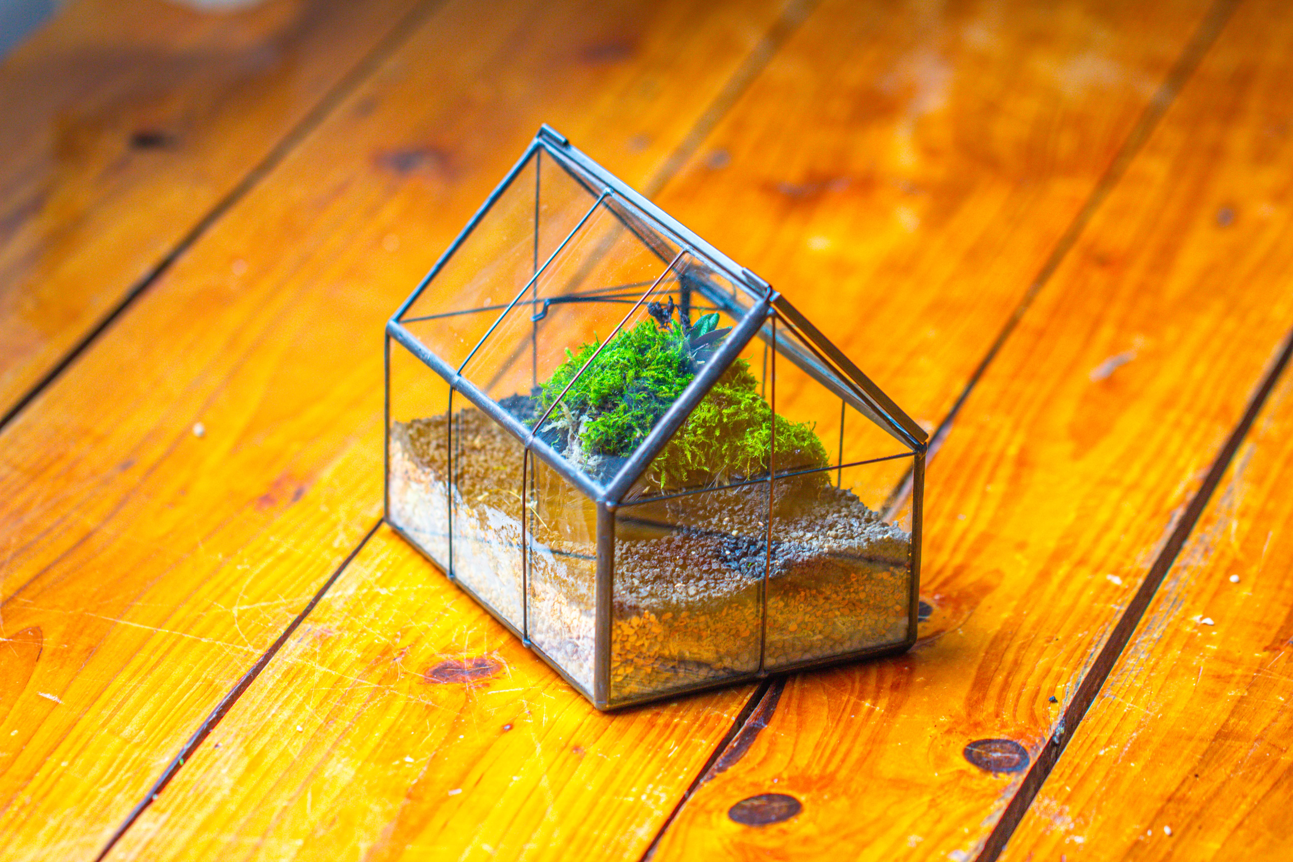 NCYP Mini Glass Terrarium with Lid House Shape Closed Planter Pot for Small Cactus, Succulents Plant - NCYPgarden