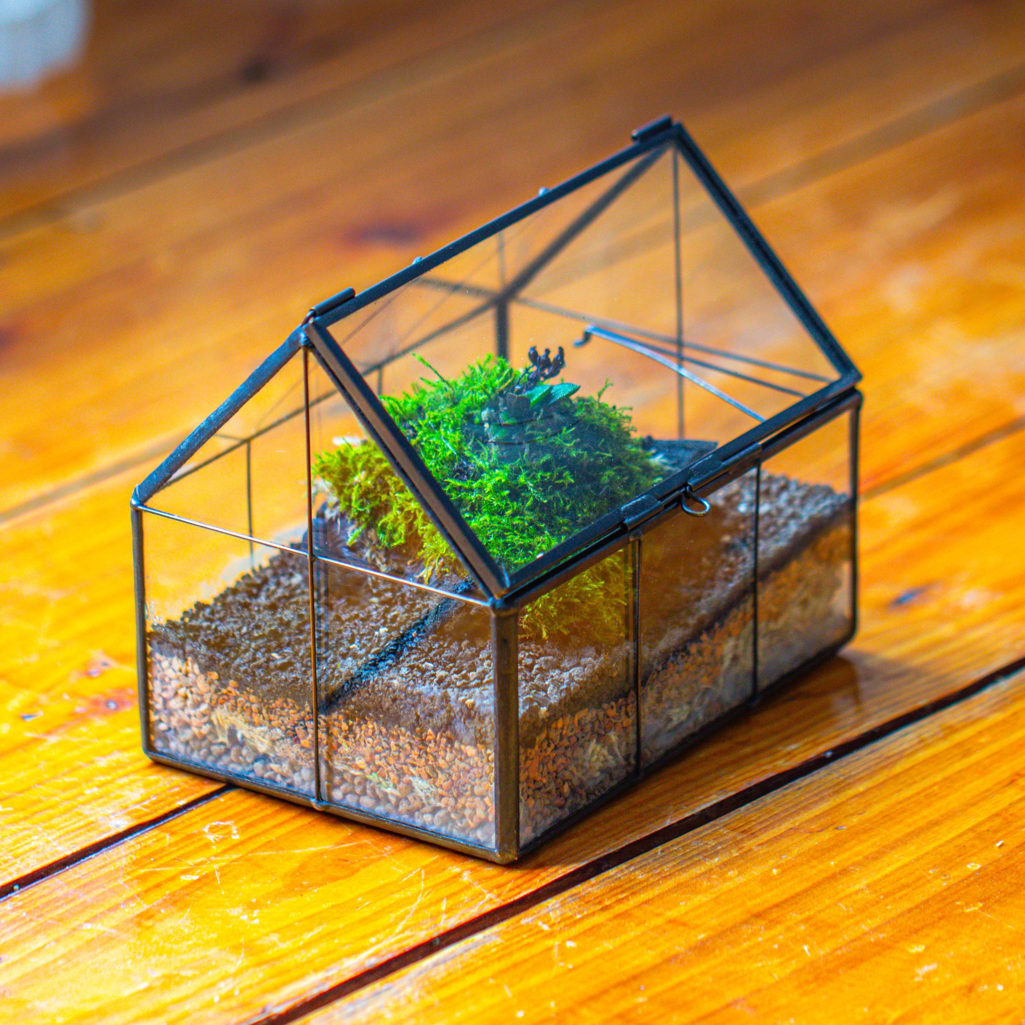 NCYP Mini Glass Terrarium with Lid House Shape Closed Planter Pot for Small Cactus, Succulents Plant - NCYPgarden