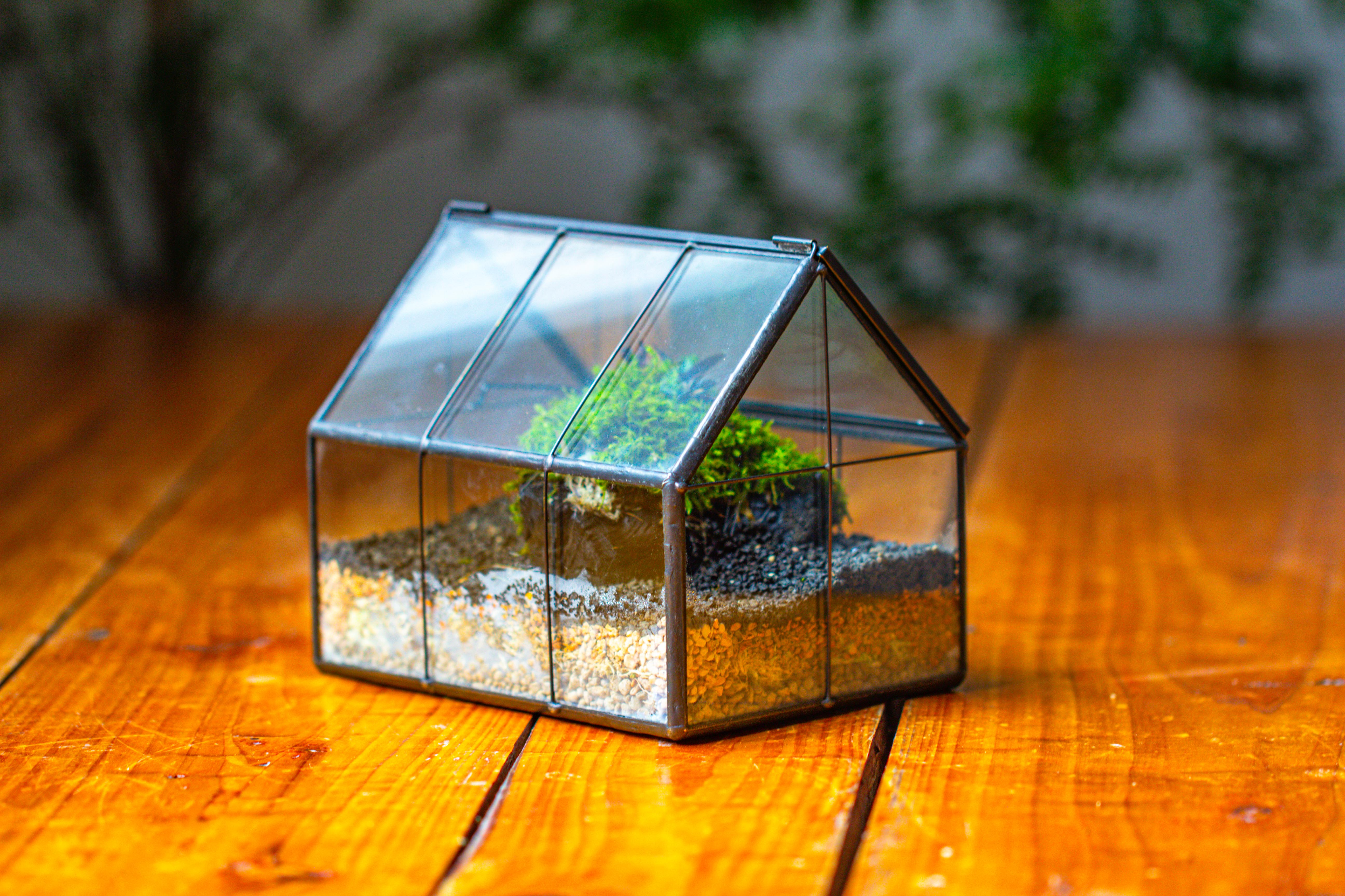 NCYP Mini Glass Terrarium with Lid House Shape Closed Planter Pot for Small Cactus, Succulents Plant - NCYPgarden