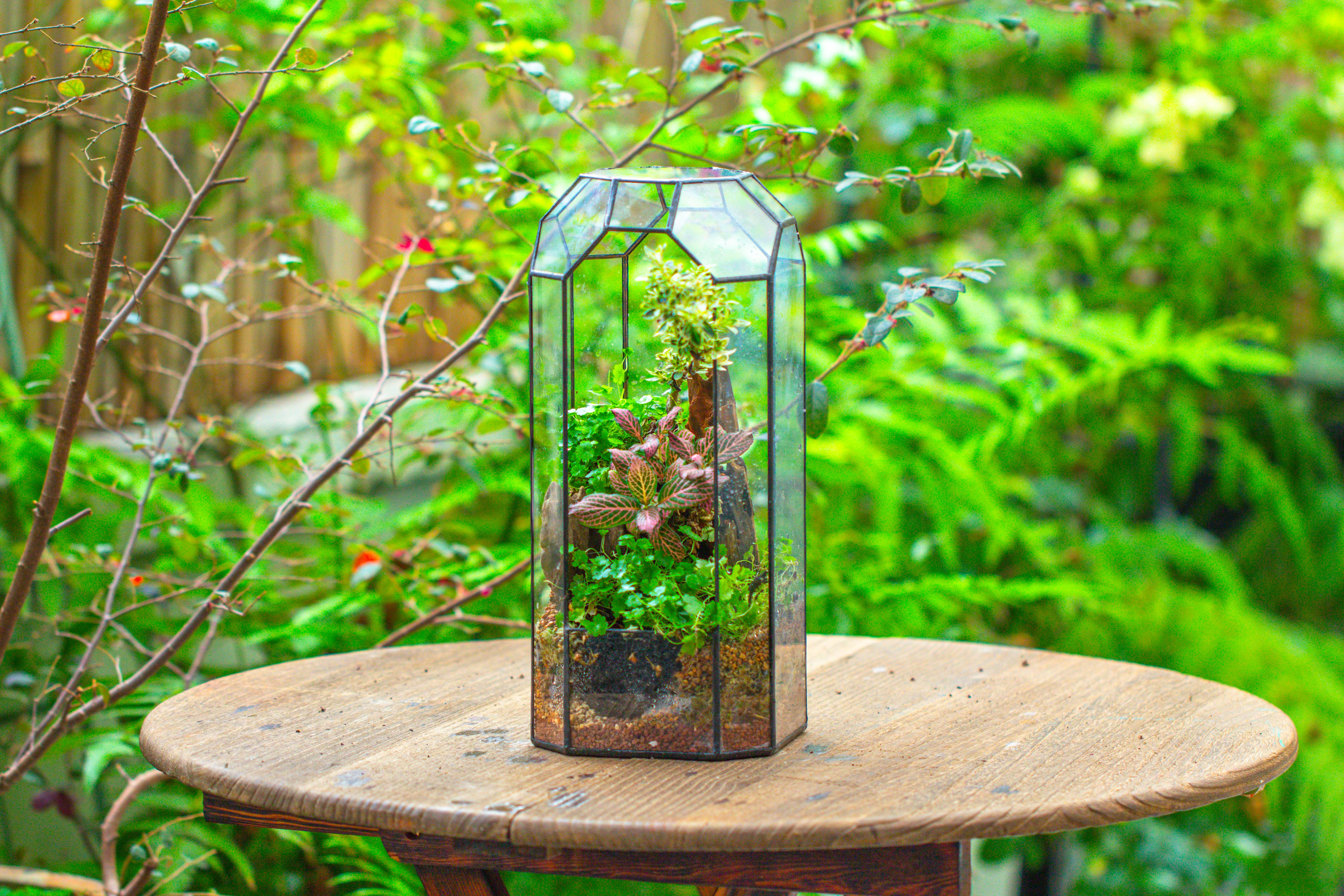 Vintage Tall Octagon Geometric Tin Glass Terrarium , 12.6" , open, suitable for tall plants, orchid, small begonia Pitcher, Micro landscape - NCYPgarden