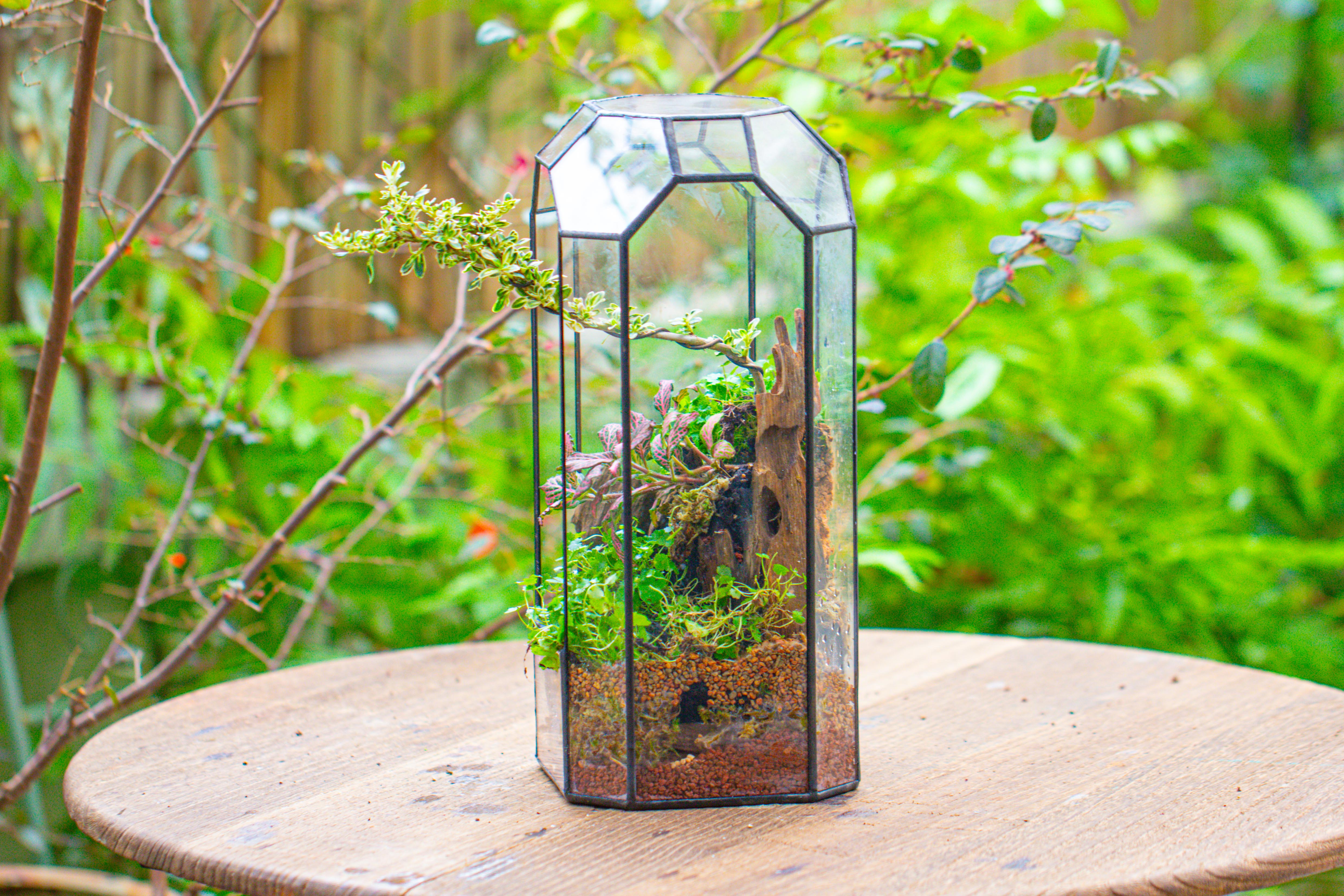 Vintage Tall Octagon Geometric Tin Glass Terrarium , 12.6" , open, suitable for tall plants, orchid, small begonia Pitcher, Micro landscape - NCYPgarden
