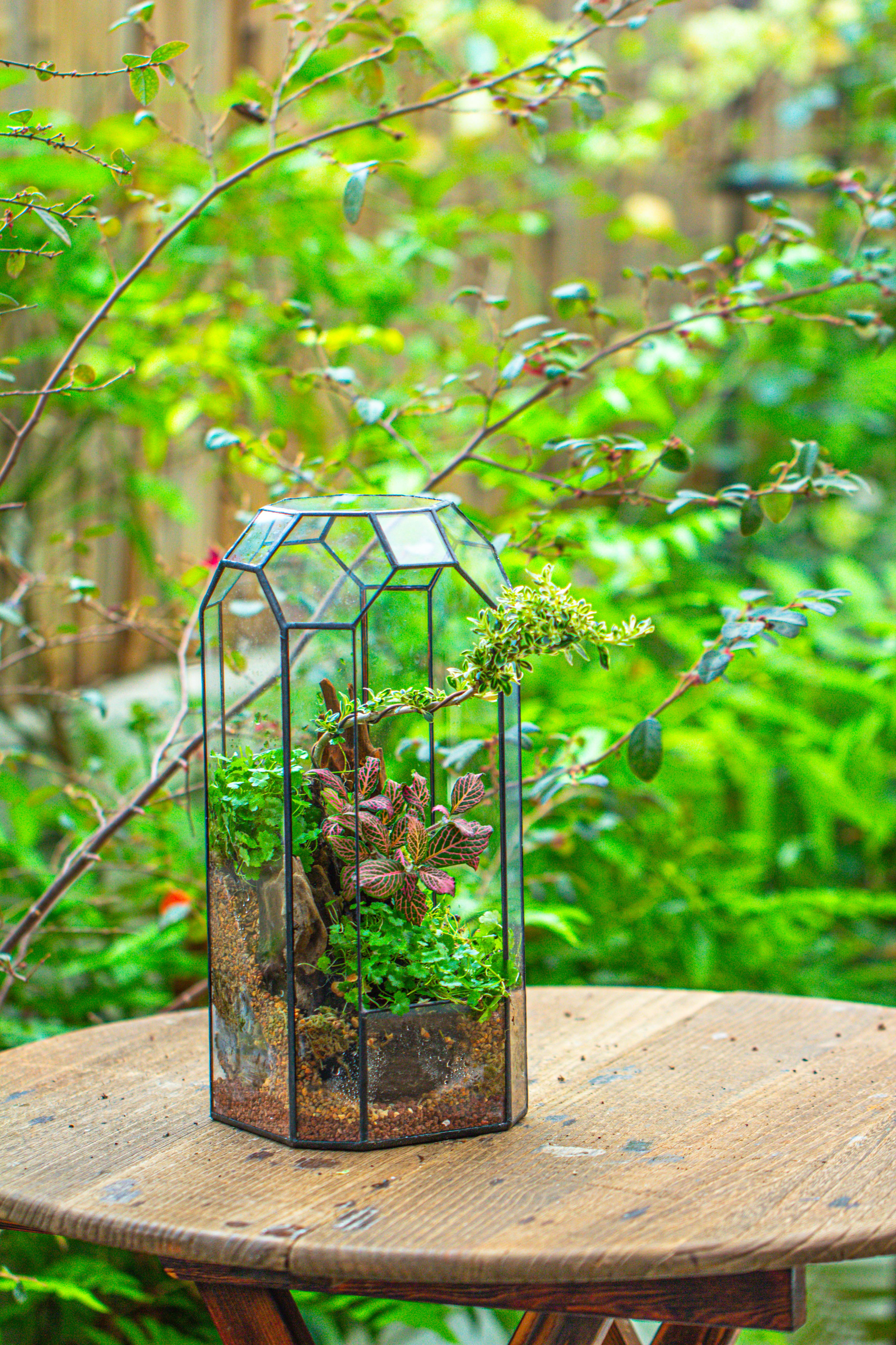 Vintage Tall Octagon Geometric Tin Glass Terrarium , 12.6" , open, suitable for tall plants, orchid, small begonia Pitcher, Micro landscape - NCYPgarden