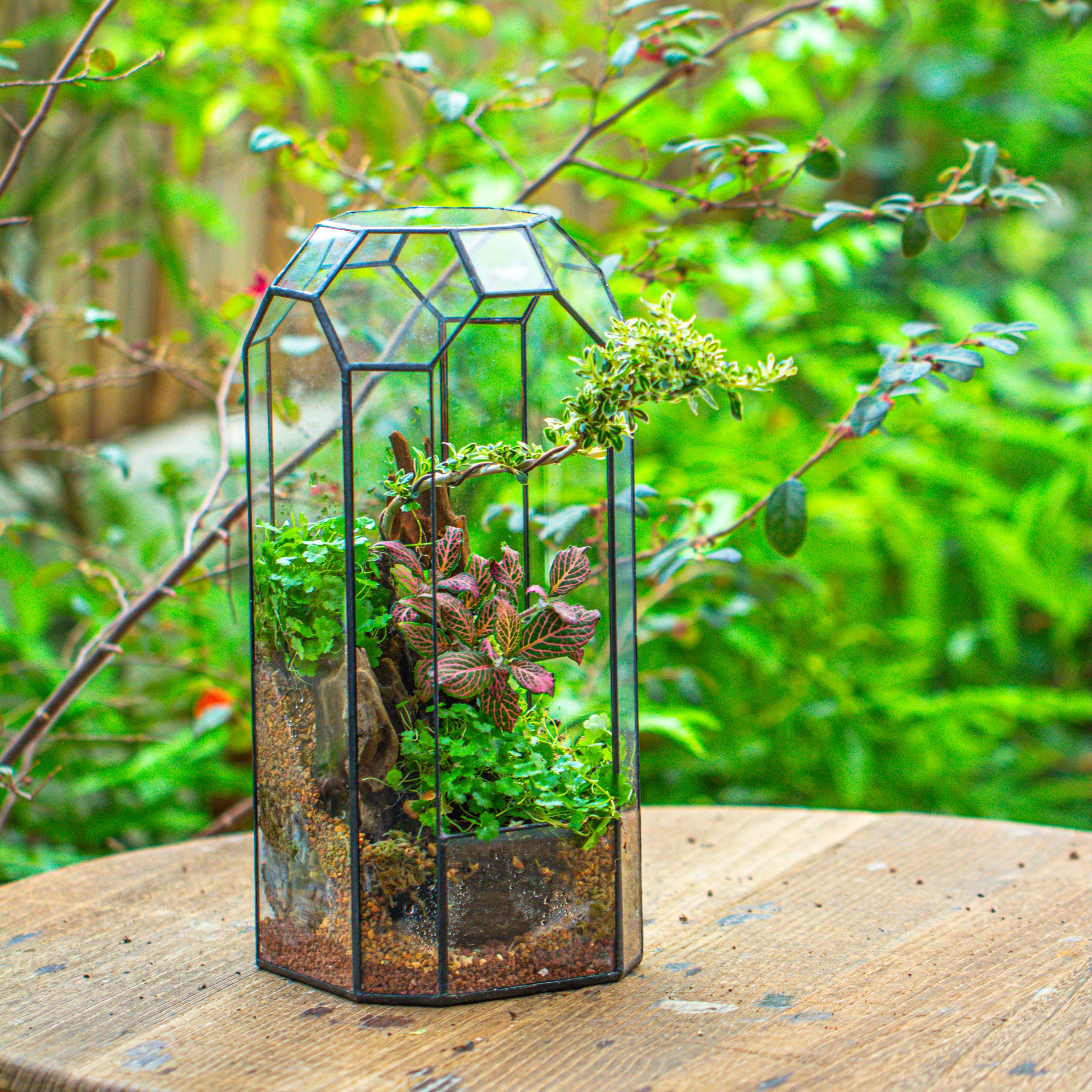 Vintage Tall Octagon Geometric Tin Glass Terrarium , 12.6" , open, suitable for tall plants, orchid, small begonia Pitcher, Micro landscape - NCYPgarden