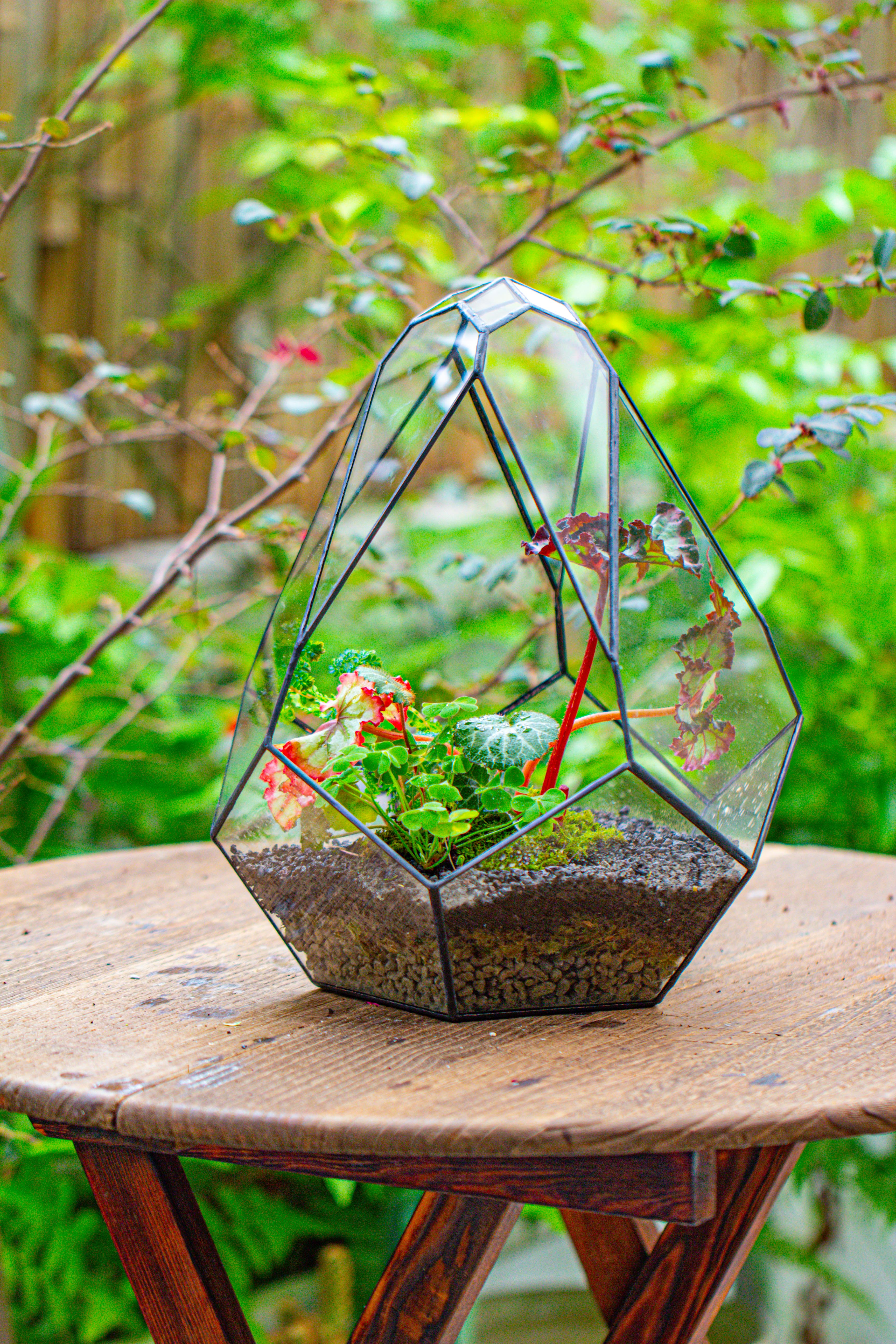 13" Large Teardrop Geometric Terrarium, Open - NCYPgarden