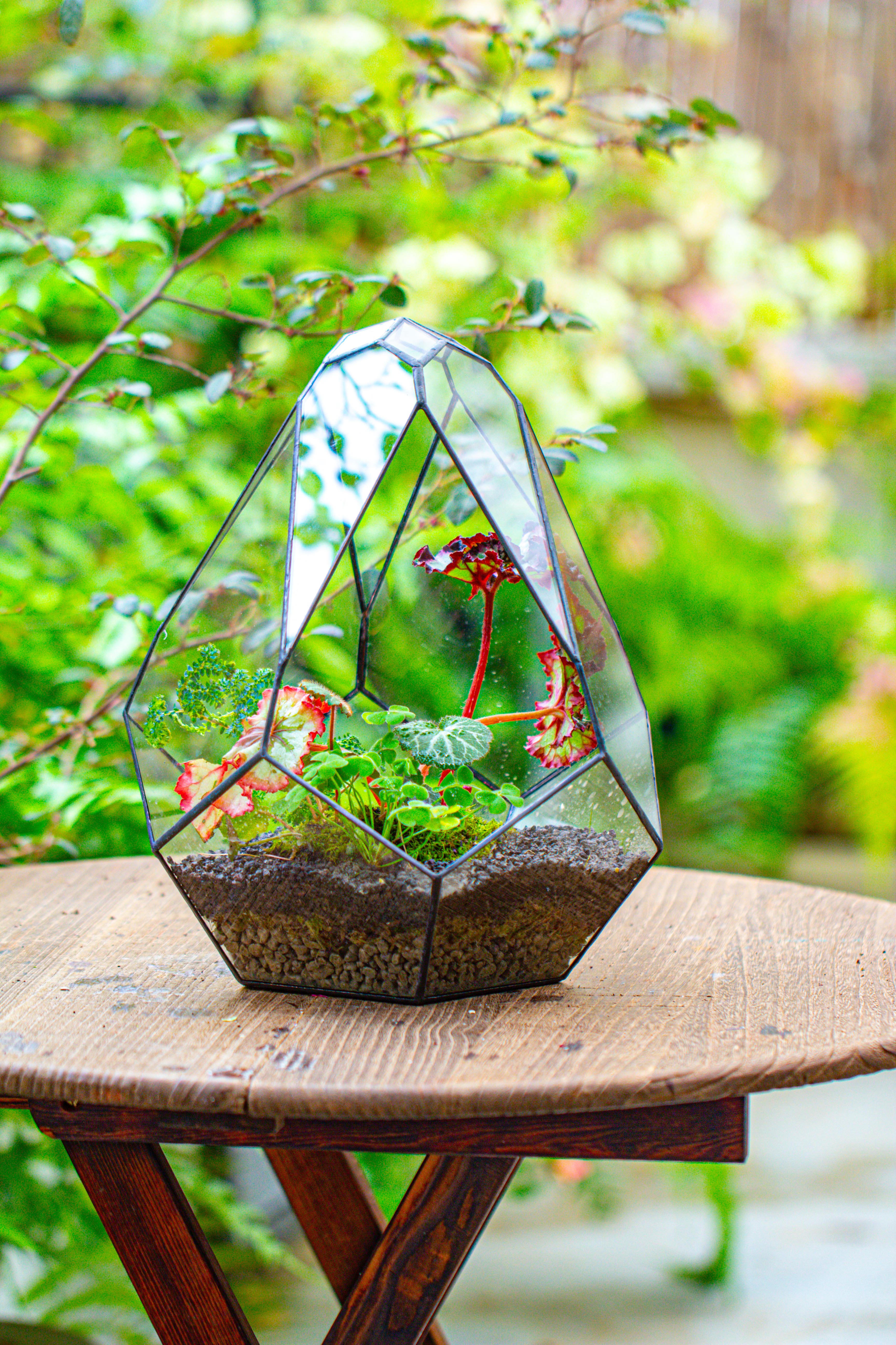 13" Large Teardrop Geometric Terrarium, Open - NCYPgarden