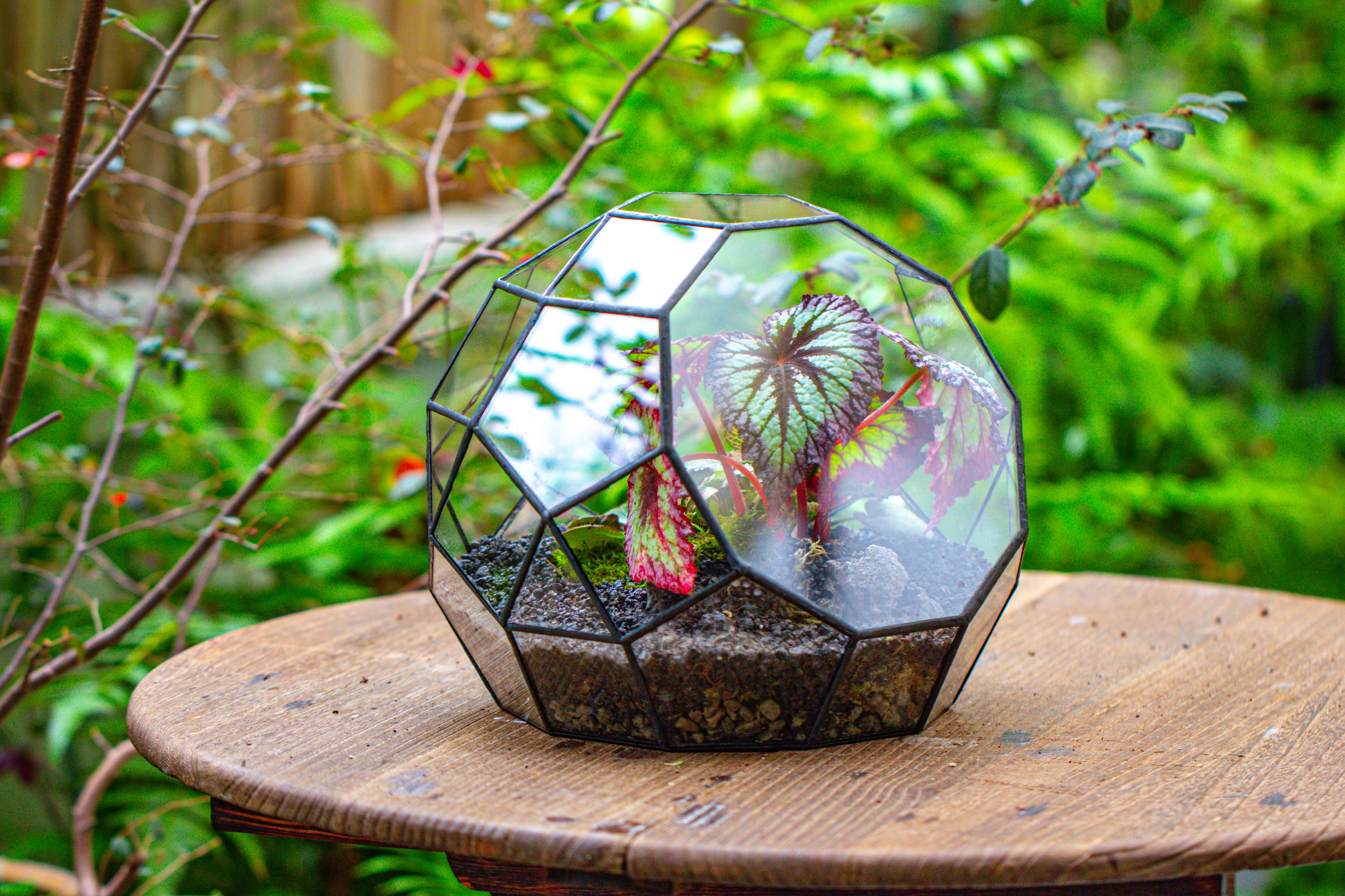 Glass Geometric Moon Terrarium,  Open - NCYPgarden