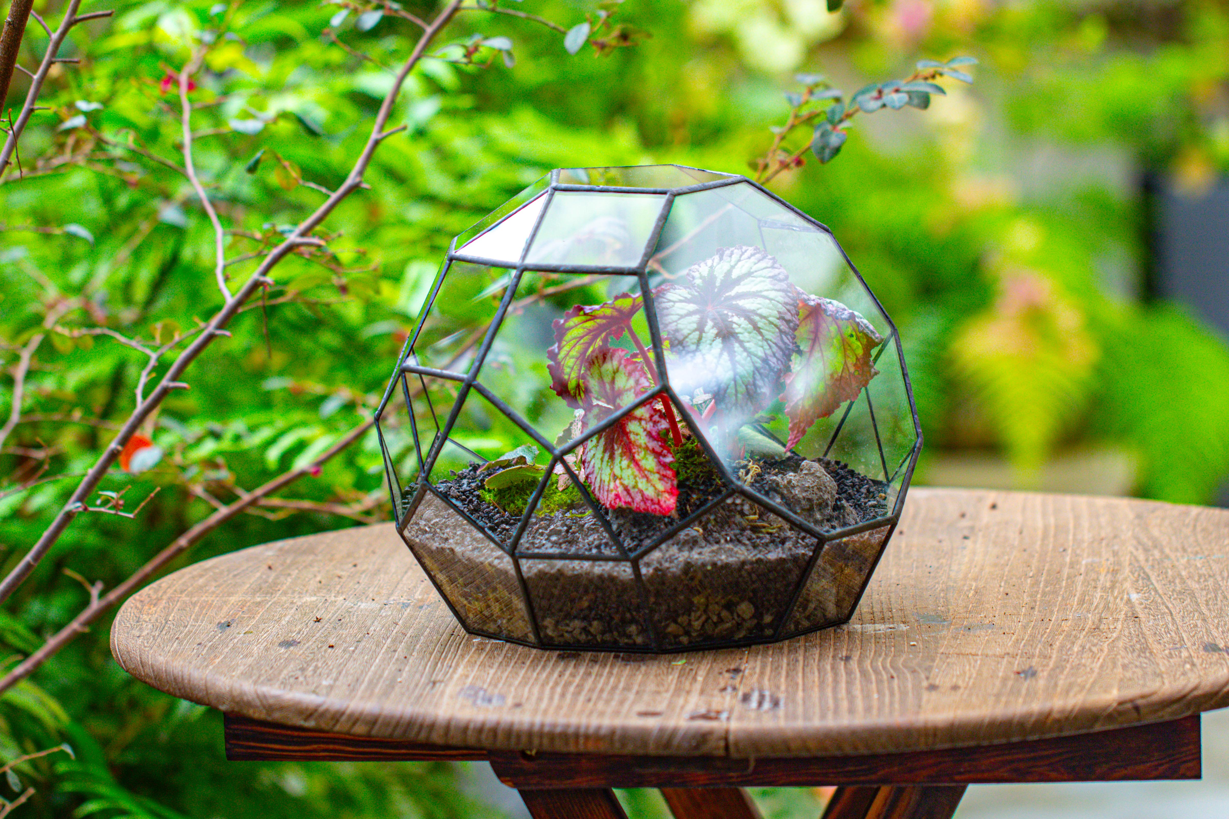 Glass Geometric Moon Terrarium,  Open - NCYPgarden