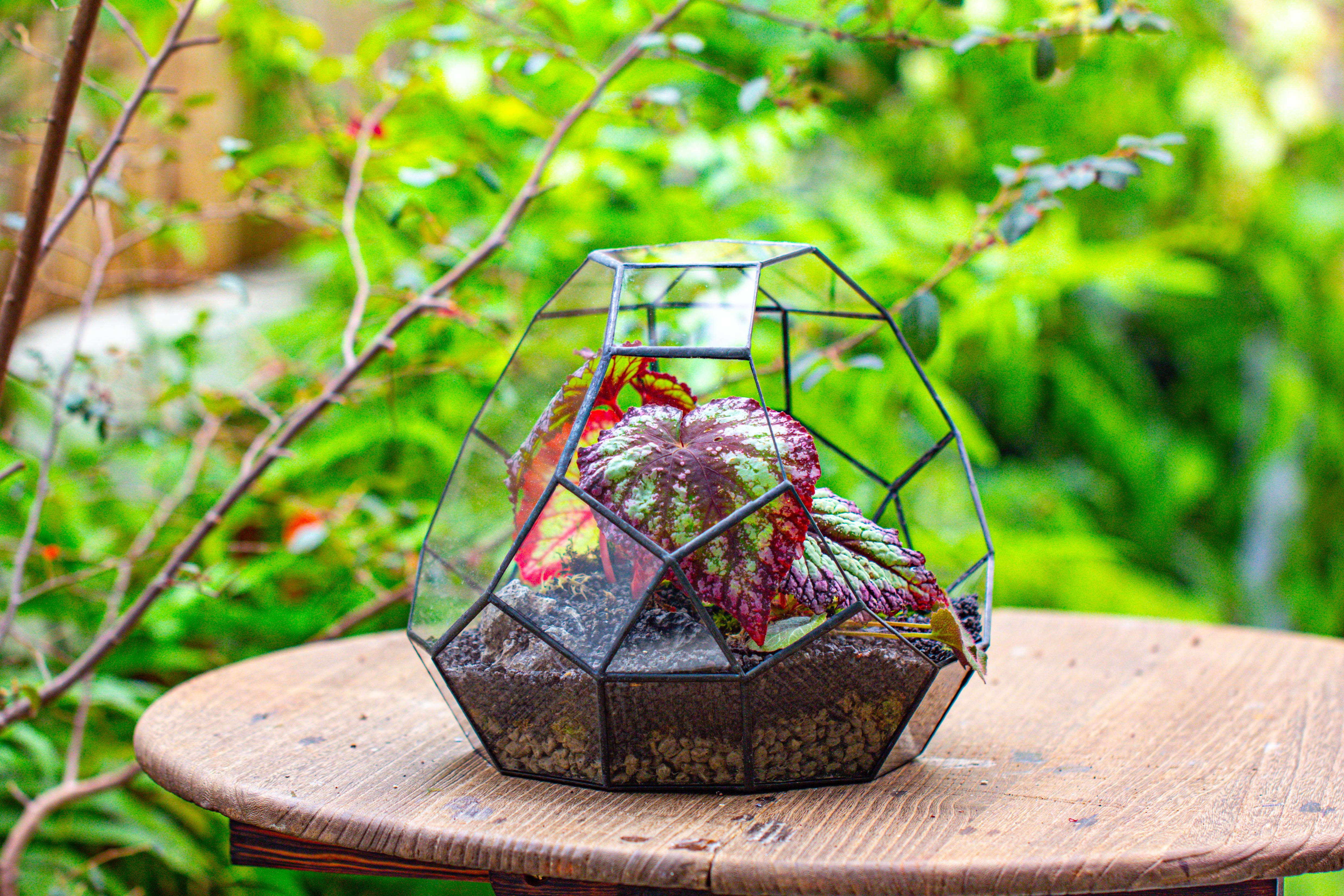 Glass Geometric Moon Terrarium,  Open - NCYPgarden