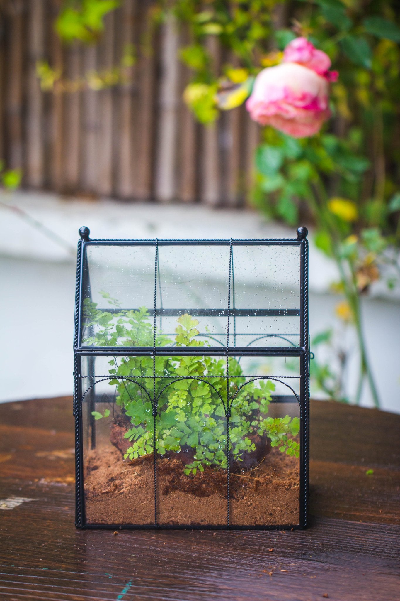 NCYP Vintage House Shape Tin and Glass Geometric Terrarium, with side door, with Mesh / vent holes for small Insects Pet - NCYPgarden