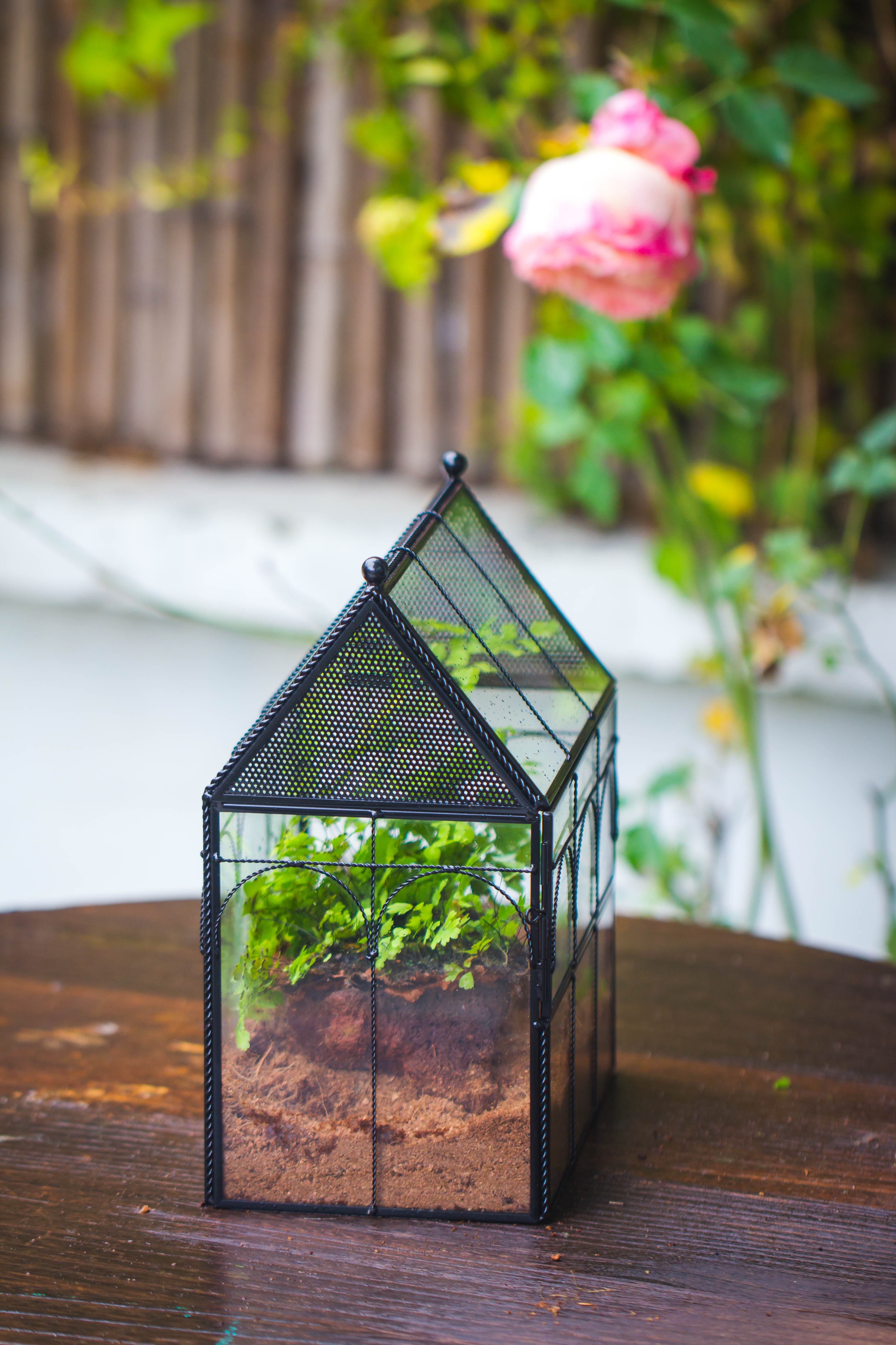 Handmade Twisted Wire House Shape Glass Geometric Terrarium with LED Light Set, Snail Jumping Spider Enclosure, Insect Container Set - NCYPgarden