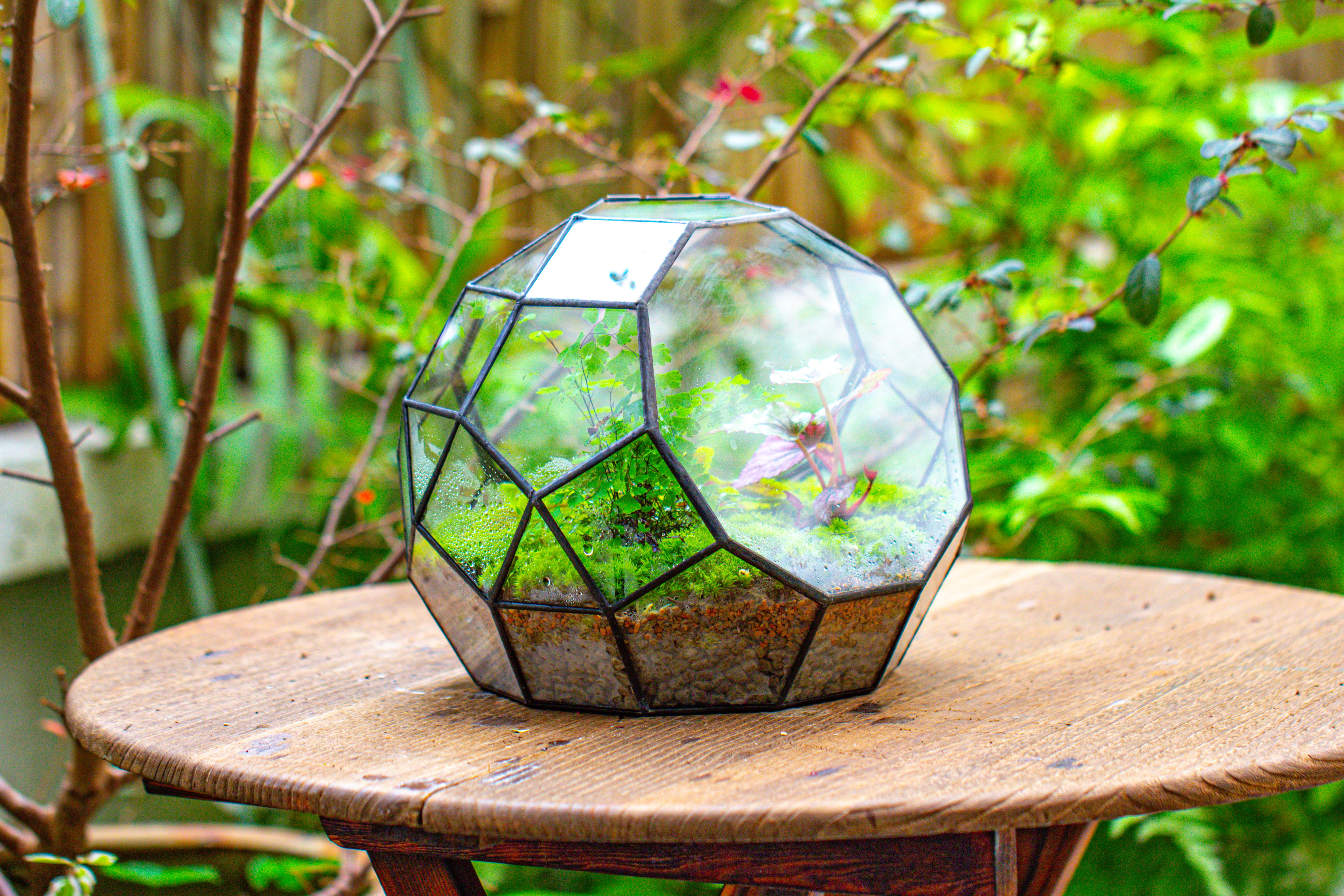 Propagation Station Glass Geometric Moon Terrarium,  Close, with door - NCYPgarden