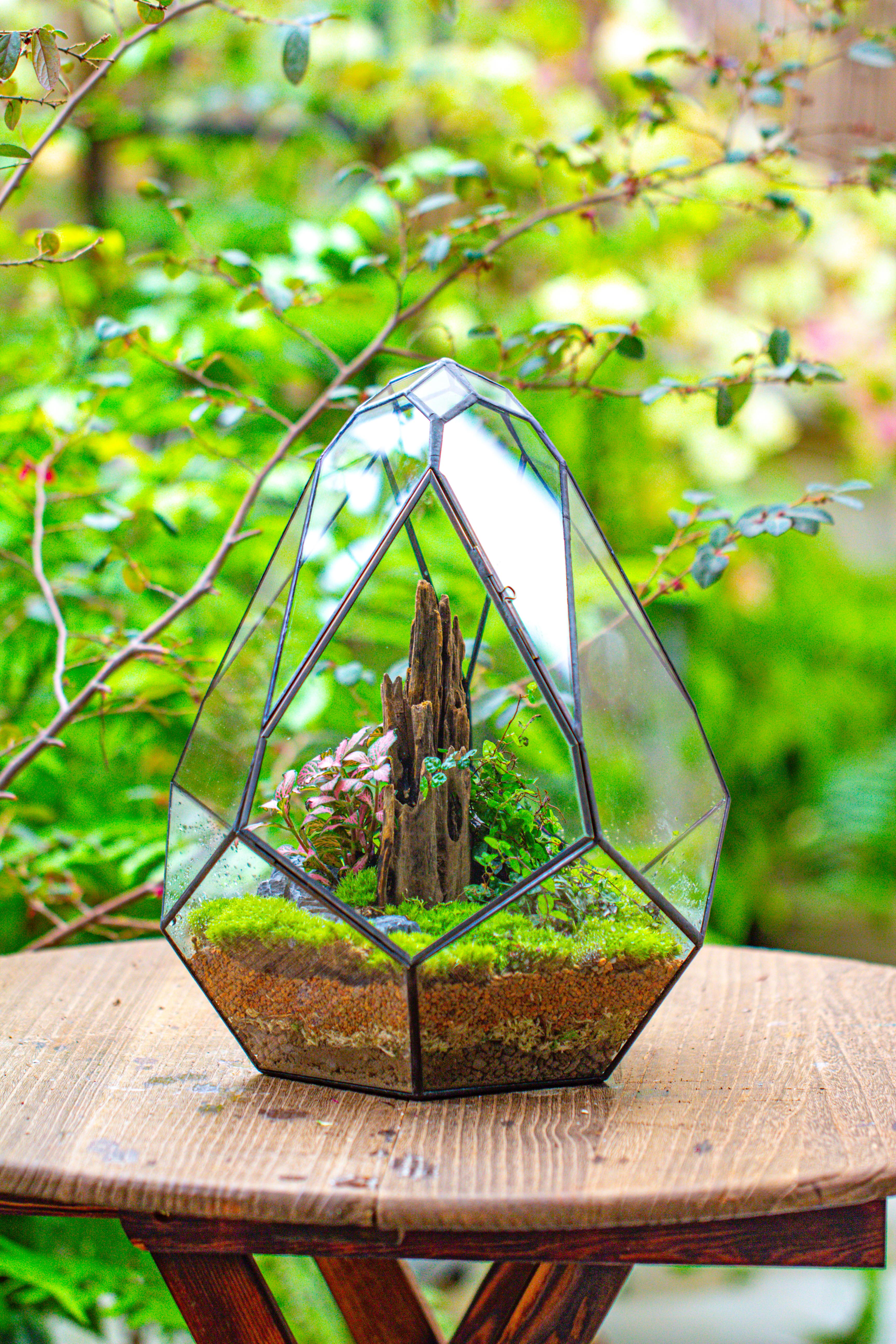 Propagation Station 13" Large Teardrop Geometric Terrarium, Close, with door - NCYPgarden