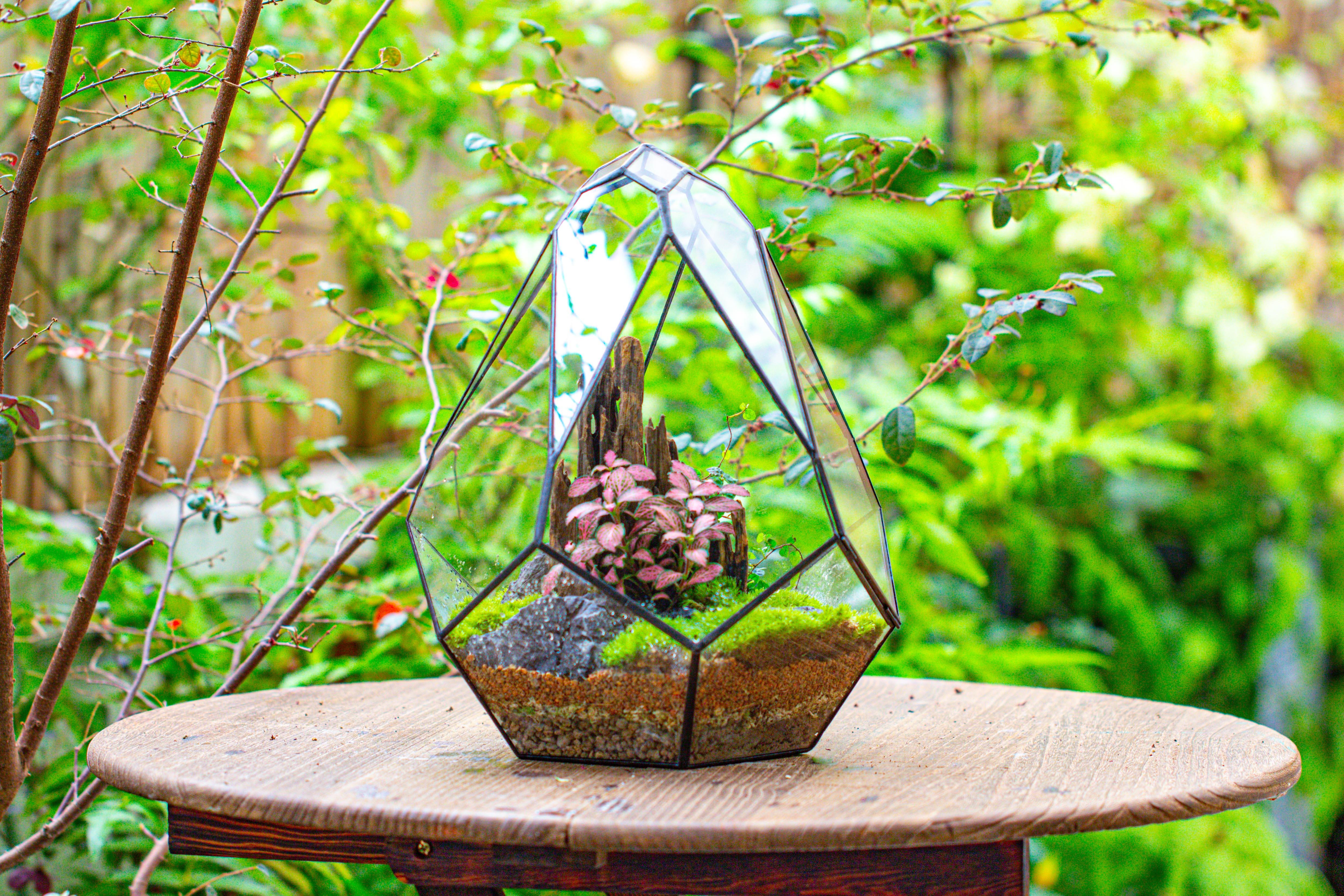 Propagation Station 13" Large Teardrop Geometric Terrarium, Close, with door - NCYPgarden
