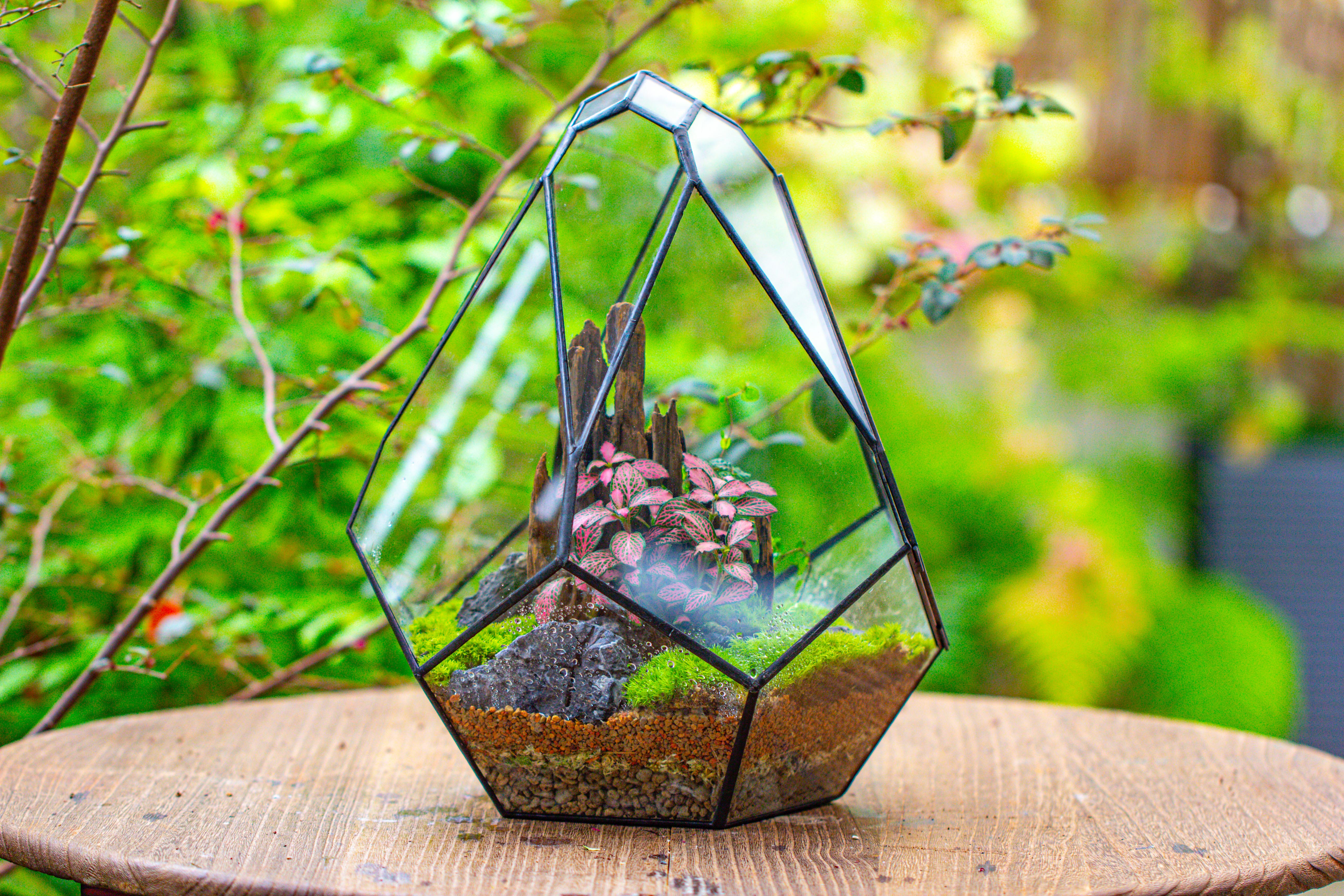 Propagation Station 13" Large Teardrop Geometric Terrarium, Close, with door - NCYPgarden