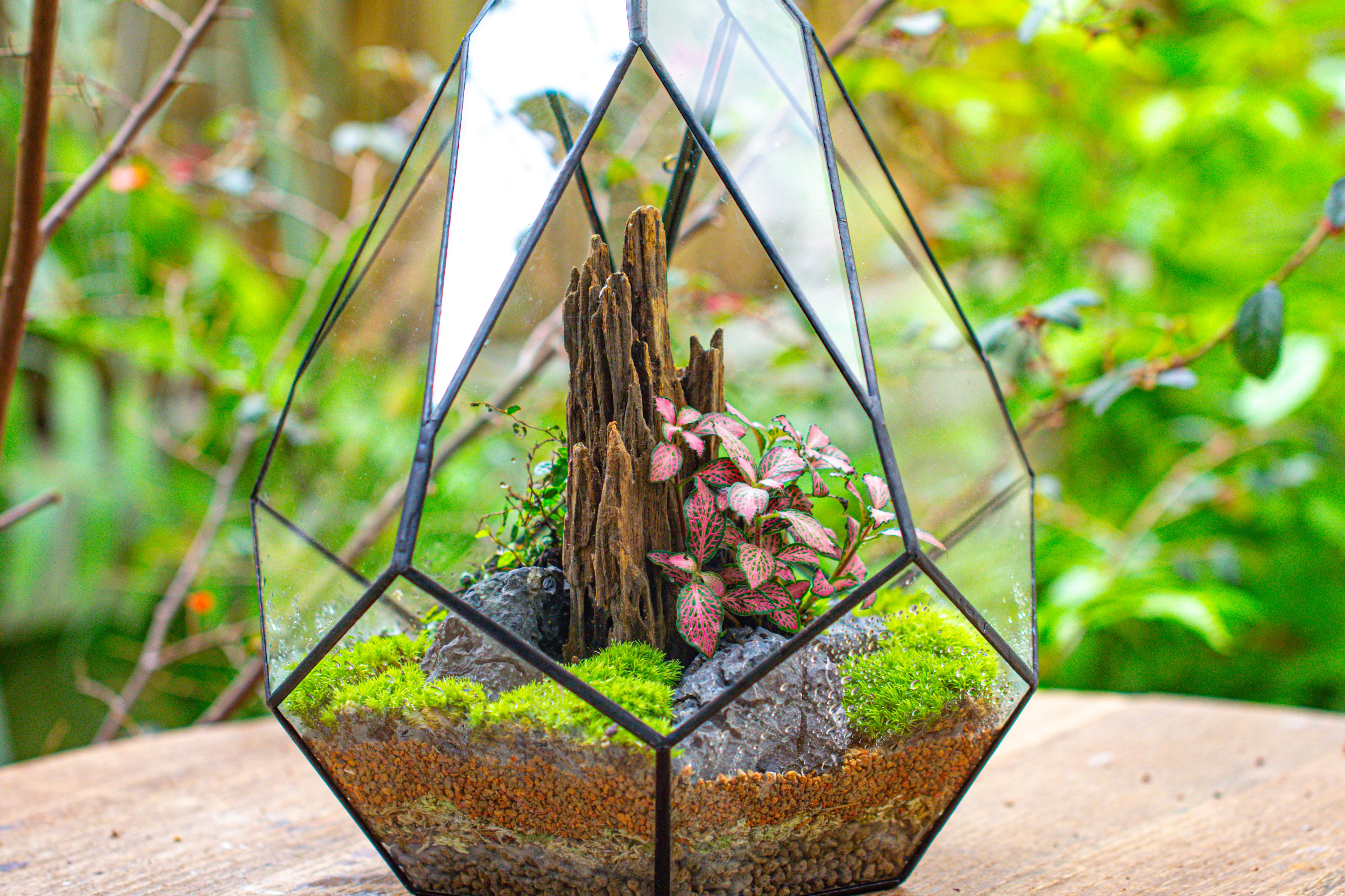 Propagation Station 13" Large Teardrop Geometric Terrarium, Close, with door - NCYPgarden