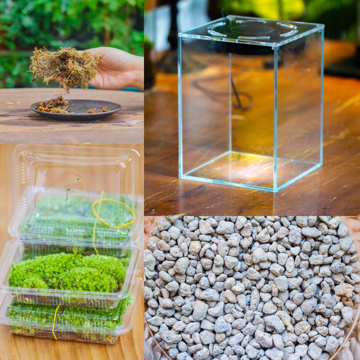 Watertight Glass Tank with LED Grow Light, Acrylic Lid, DIY Terrarium Kit- 25x25x30cm / 9.8x9.8x11.8'' - NCYPgarden