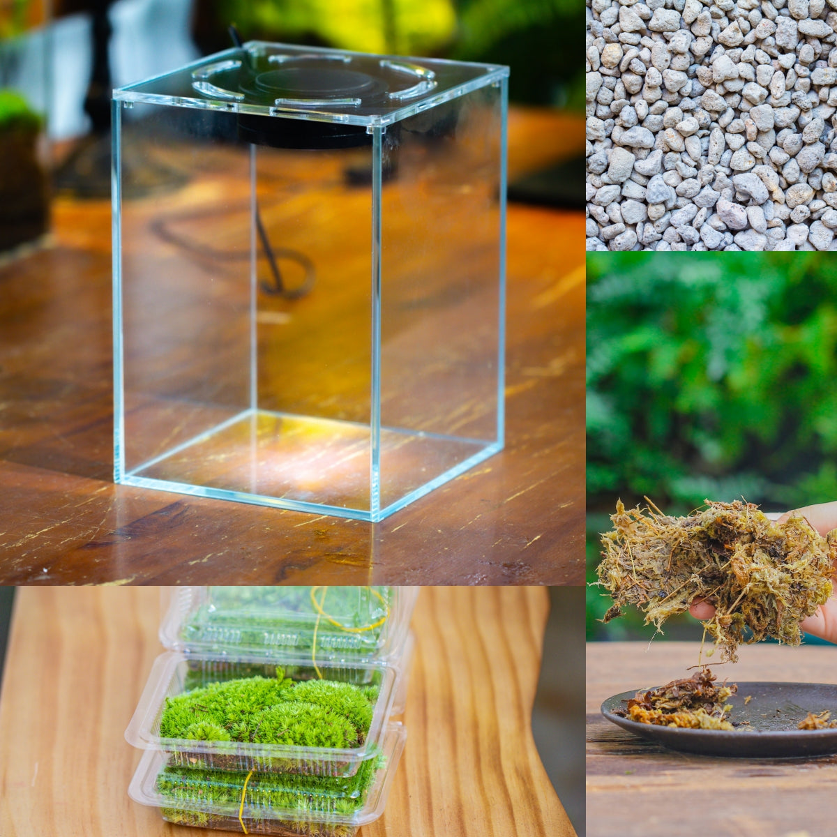 Watertight Glass Tank with LED Grow Light, Acrylic Lid, DIY Terrarium Kit-12x12x18cm / 4.7x4.7x7.1'' - NCYPgarden