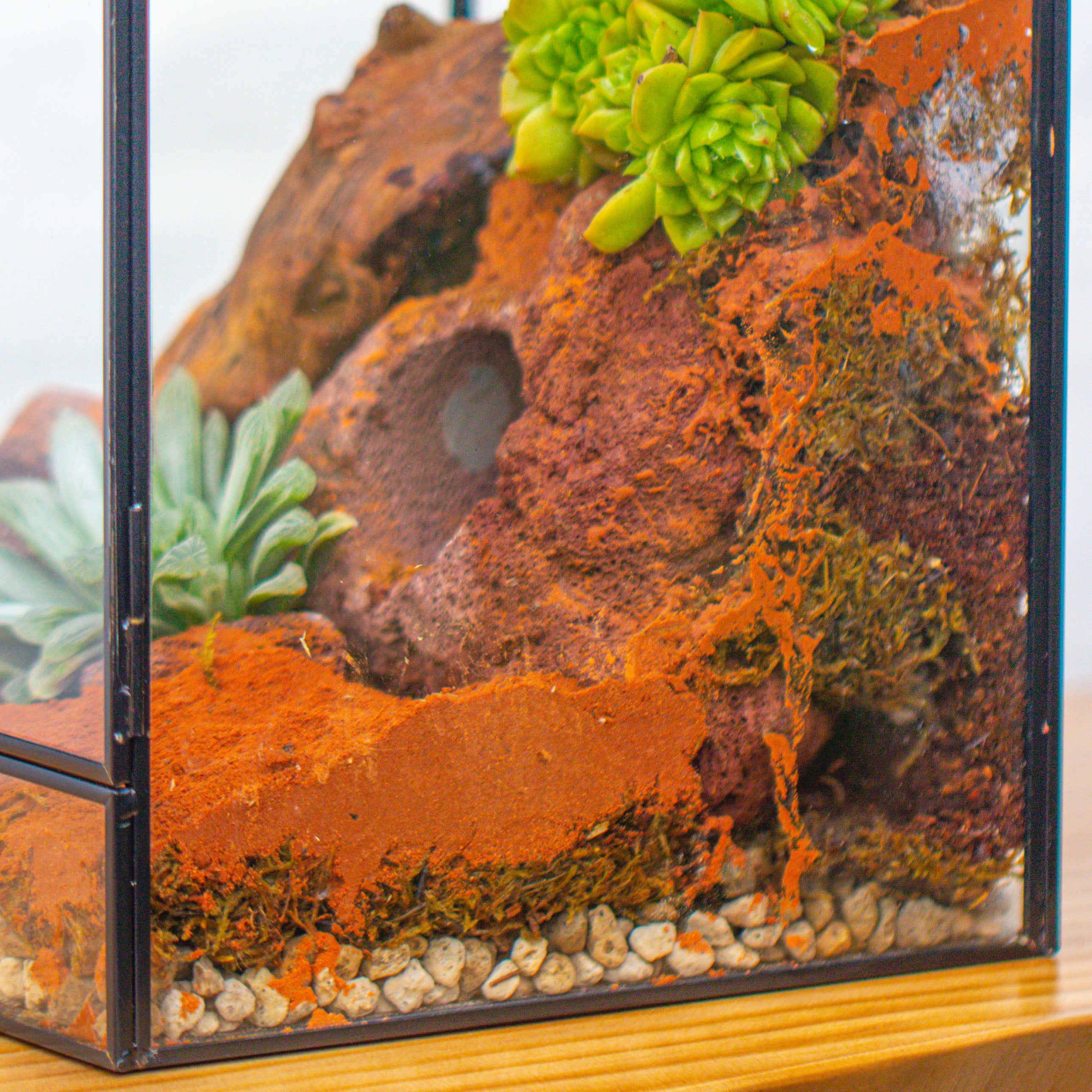 Grey White Horticultural Lava Rock Volcanic Rock - NCYPgarden