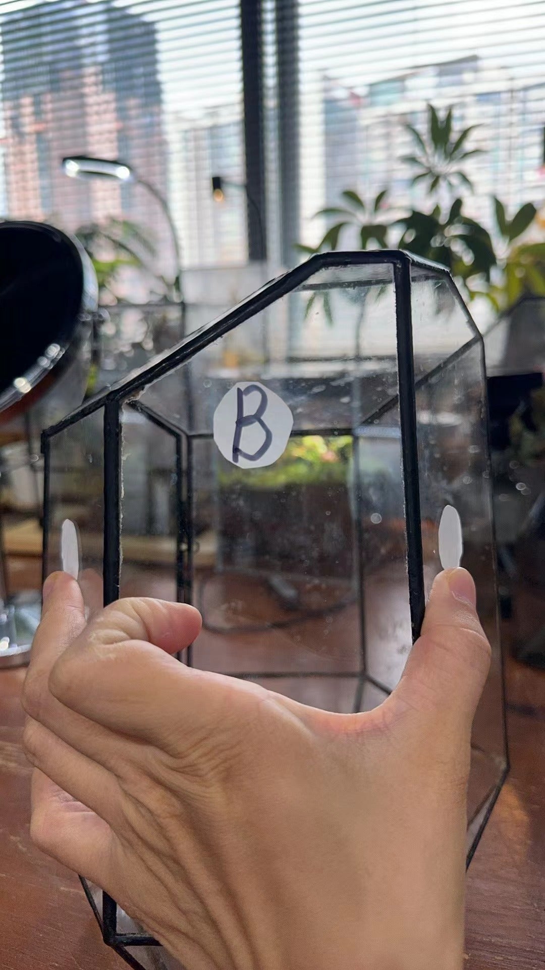 custommade order 41cm / 16" Tall Irregular Glass Geometric Terrarium with 3 vent - NCYPgarden