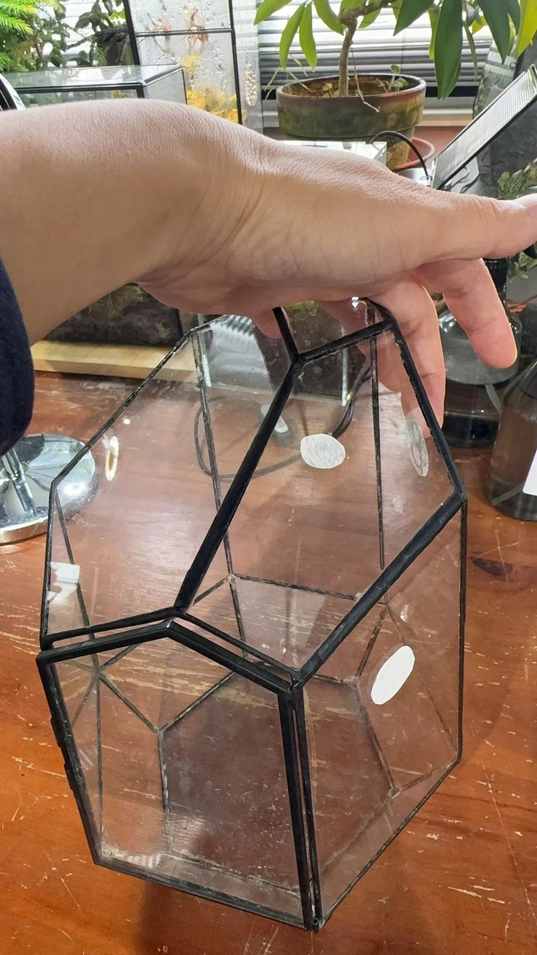 custommade order 41cm / 16" Tall Irregular Glass Geometric Terrarium with 3 vent - NCYPgarden