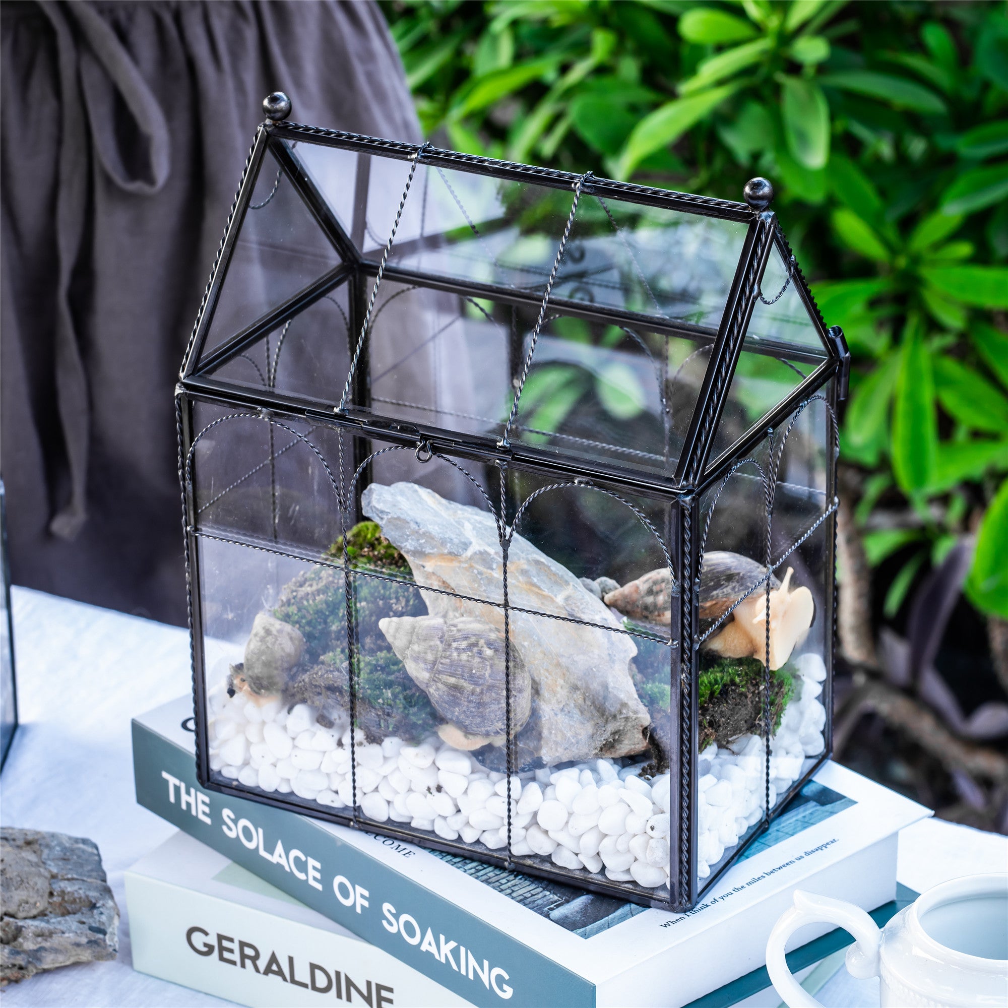 NCYP Tall Glass Geometric Terrarium Brass Twisted Brass Wire Decorated Black Vintage House Shape for Insect Snail Moss Succulents Cacti Air Plant - NCYPgarden