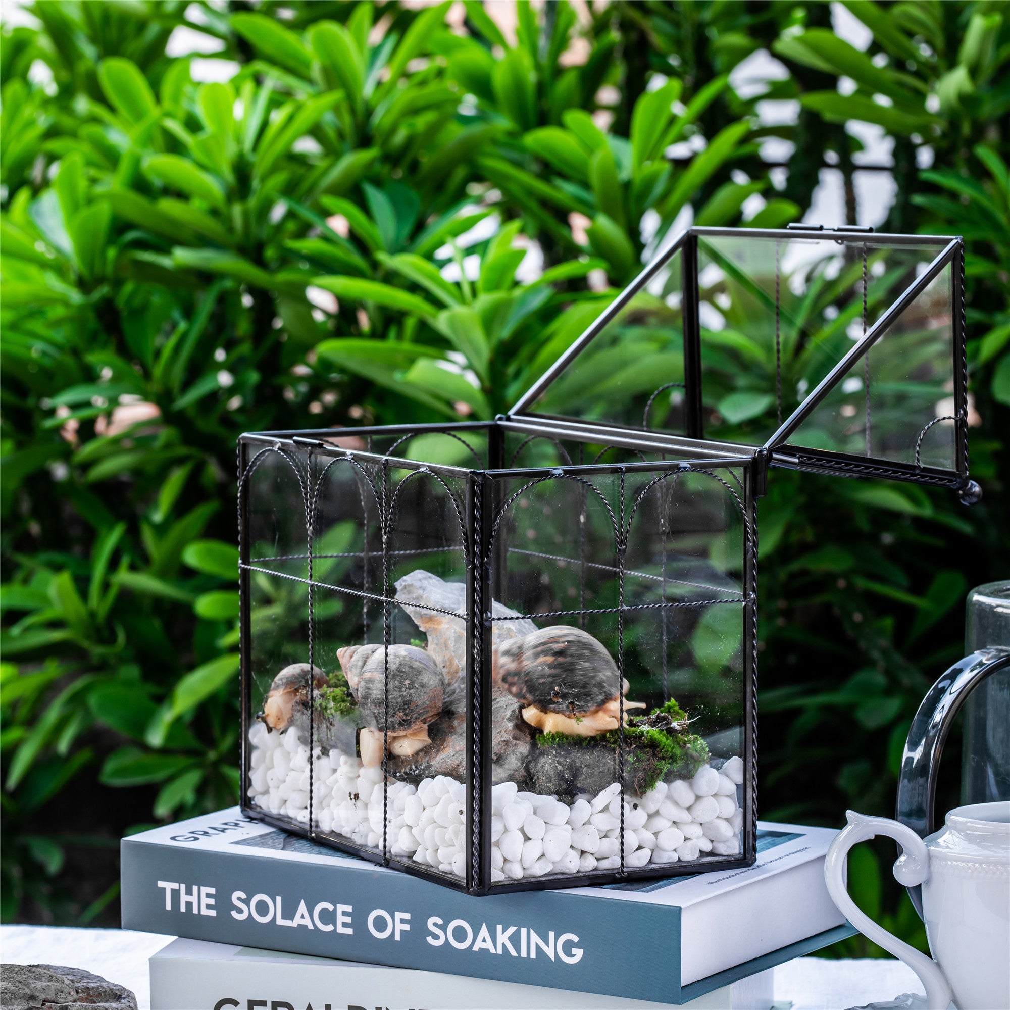 NCYP Tall Glass Geometric Terrarium Brass Twisted Brass Wire Decorated Black Vintage House Shape for Insect Snail Moss Succulents Cacti Air Plant - NCYPgarden